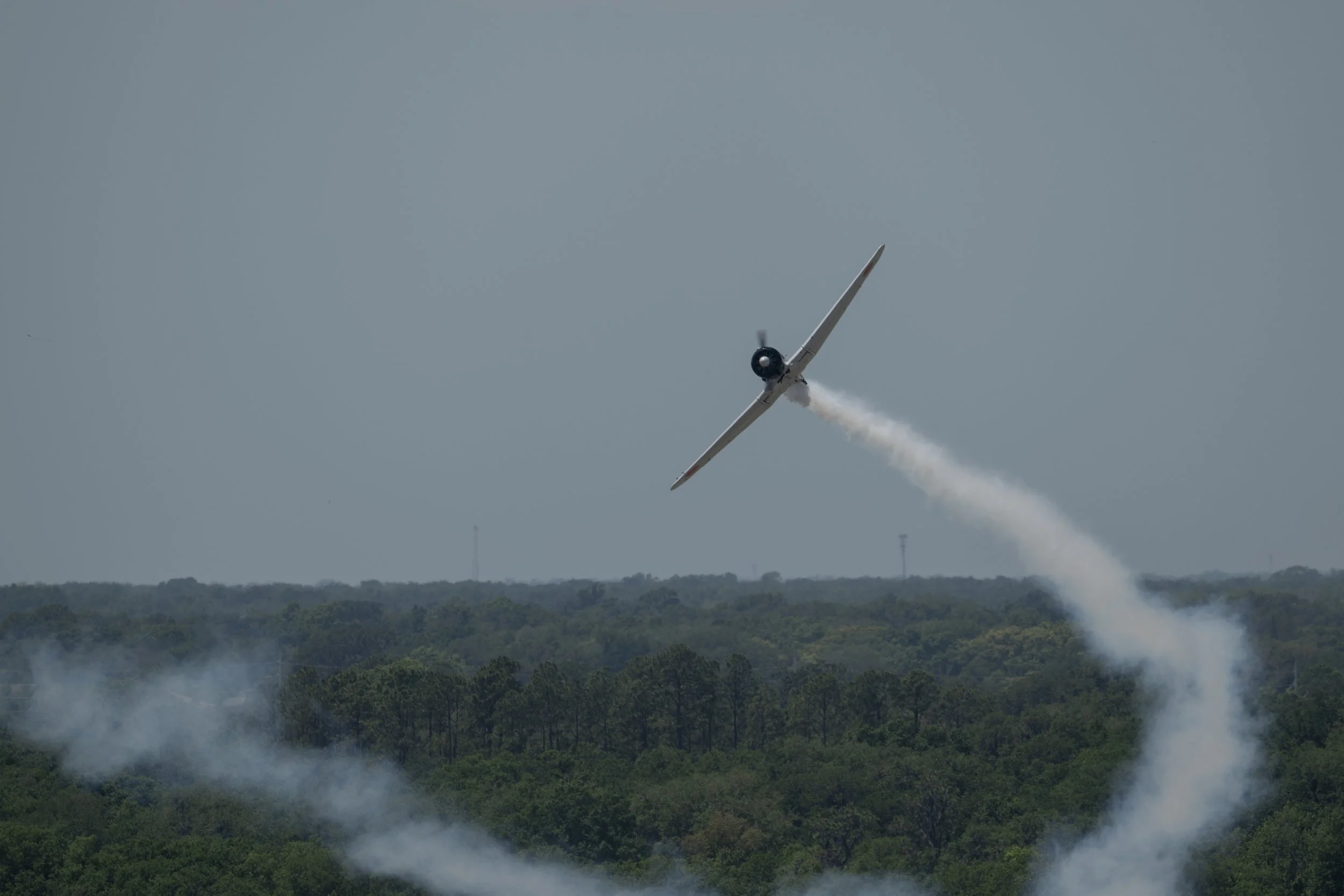 SNF24_Wednesday_Tora_Carolyn H_079 copy.jpg