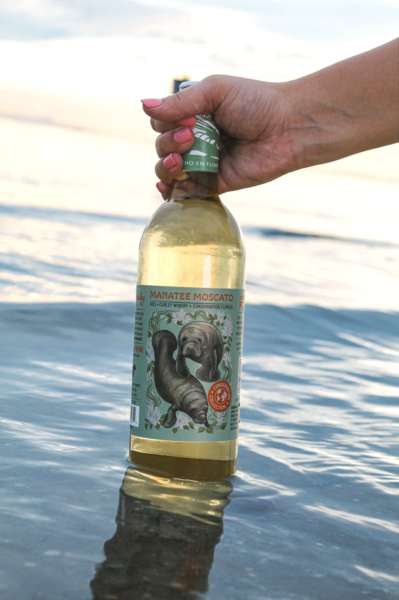 Manatee Moscato  (6).jpg