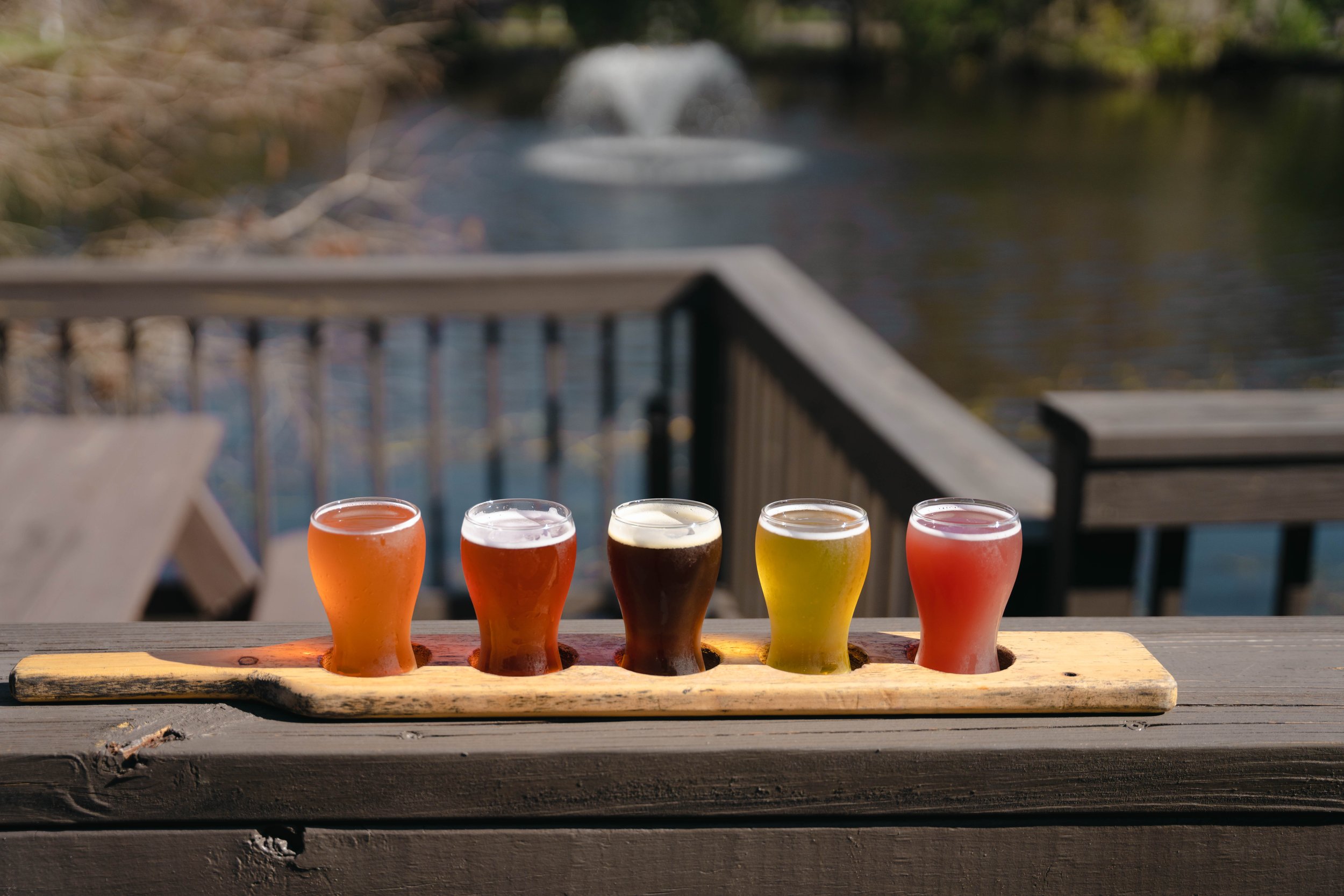 Flight over the pond.jpg