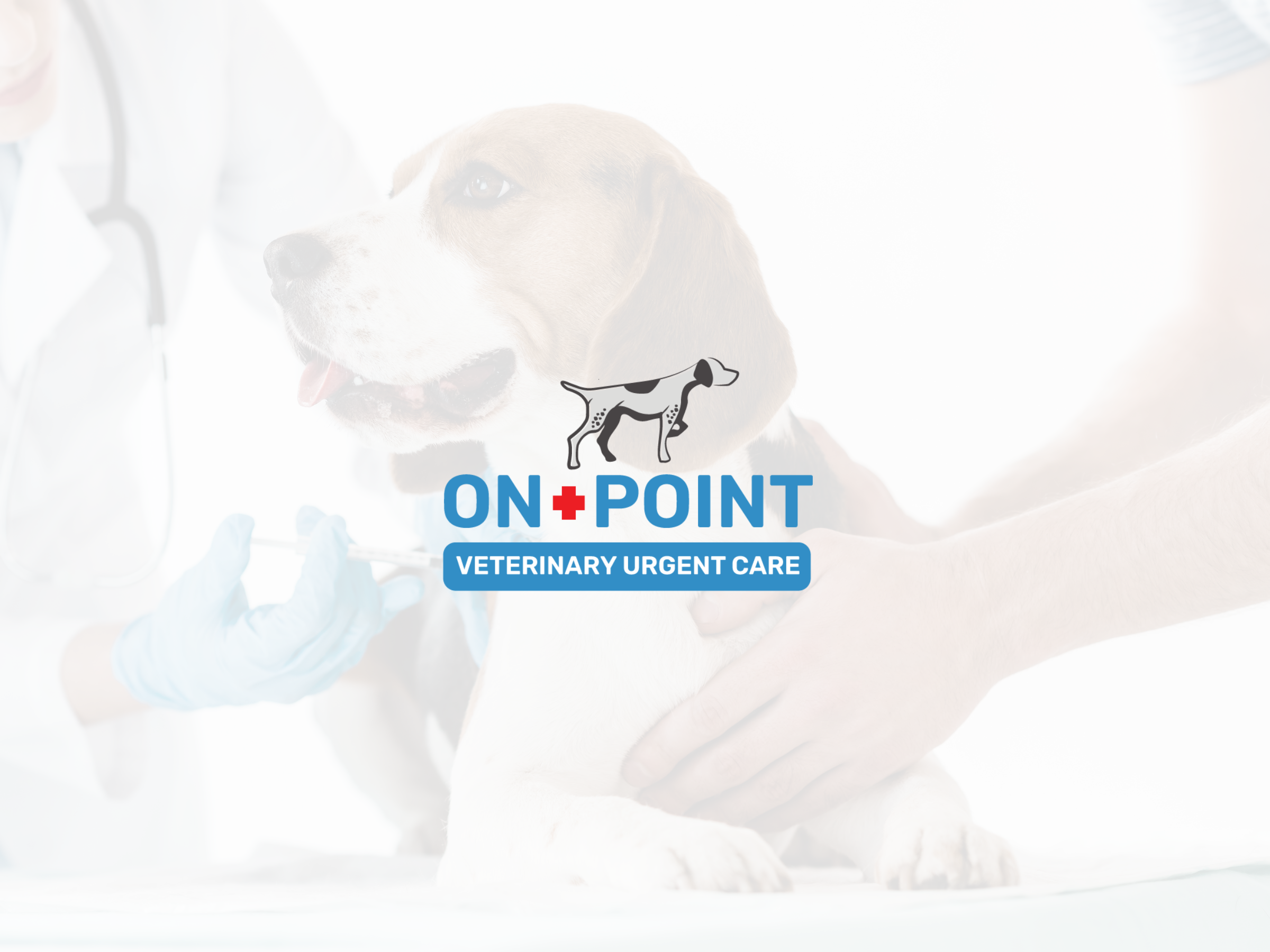 OnPoint Logo Portfolio (2400 × 1800 px).png