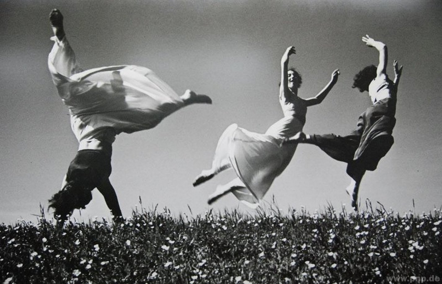 Performance Creative