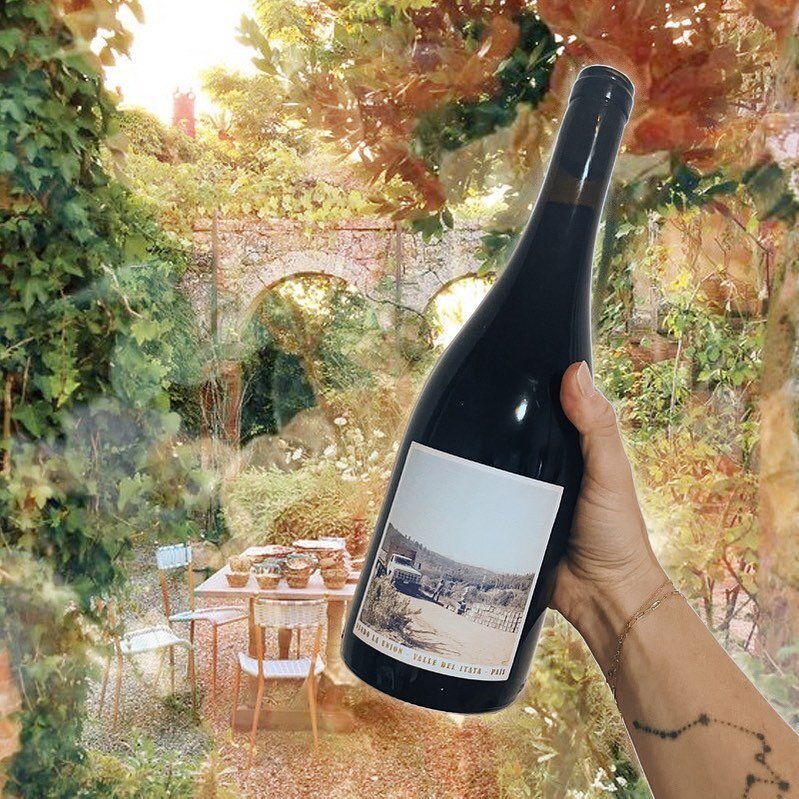 Hello to this gorgeous summer crusher. A bottle that opens an enchanted dreamscape with the pop of its cork. Garden dinners with friends, chatting as the moon rises, glasses dripping with condensation, green salads, grilled meats, berry tarts. The pe
