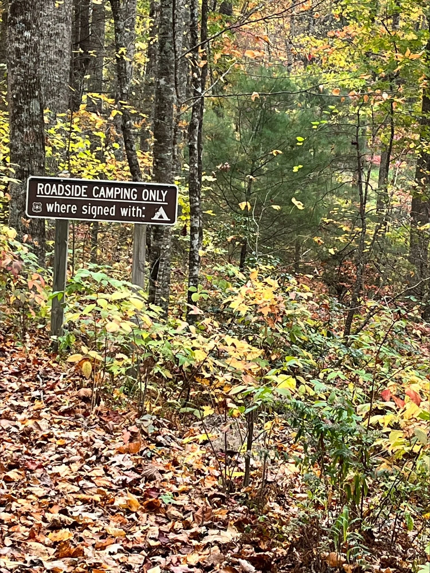 Pisgah NF roadside camping sign.jpeg