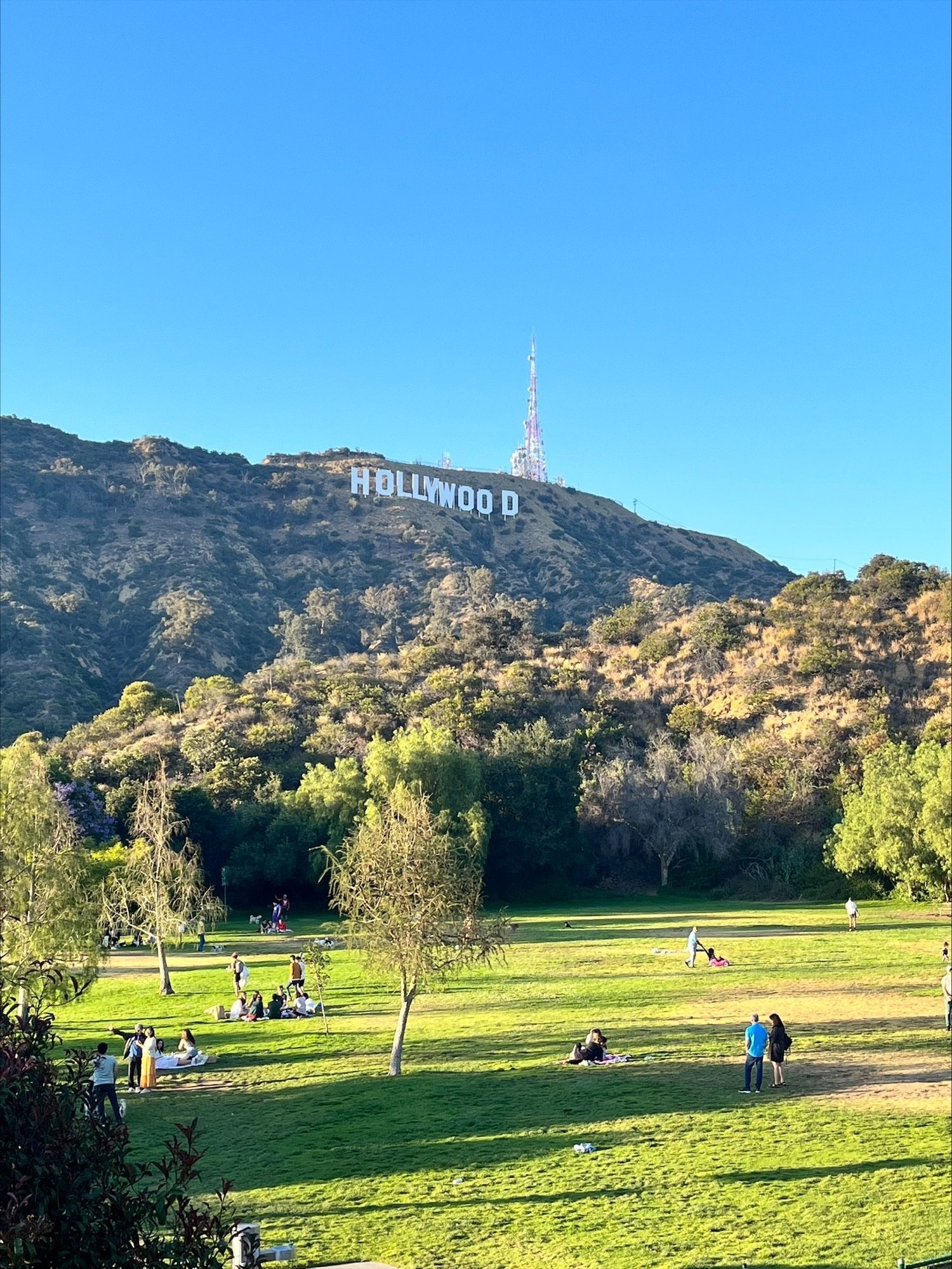 How to Travel the US on a Budget — Adopting Life's Journey Family Travel Blog in a Campervan