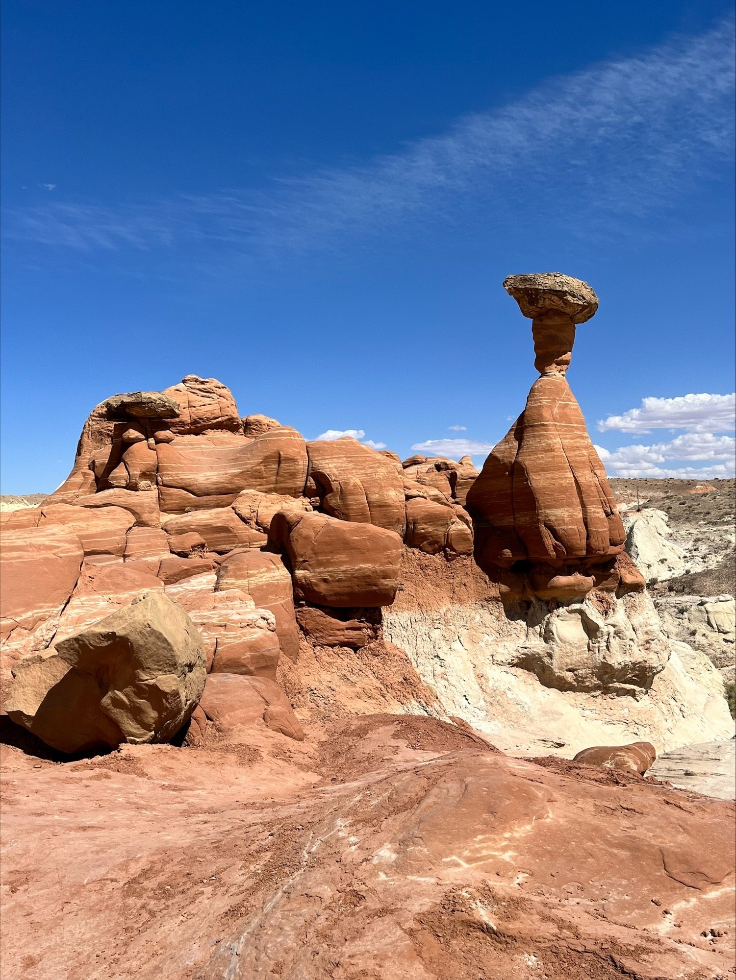 Toadstools trailhead.jpeg