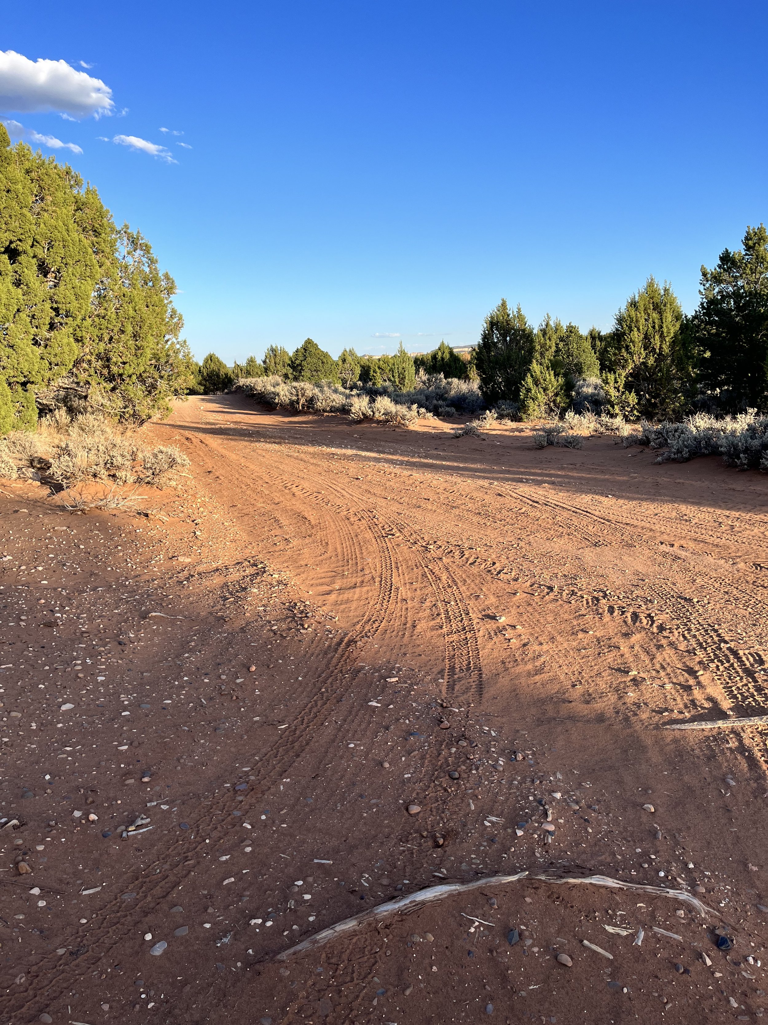 Boondocking Willis Creek Road .jpg