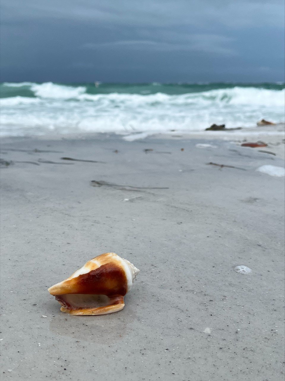 greer island 14.jpeg