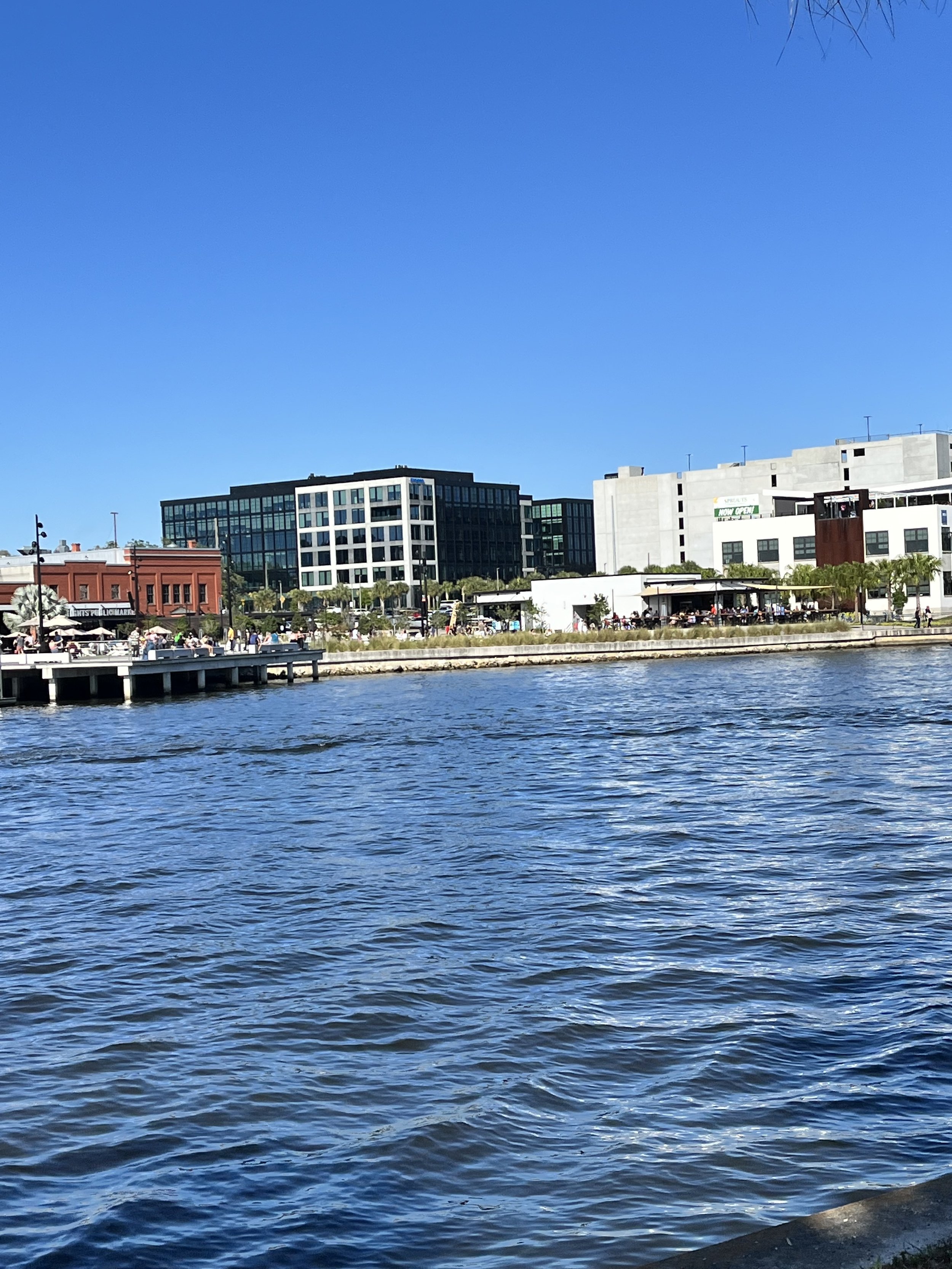 Hillsborough River Riverwalk Tampa.jpg