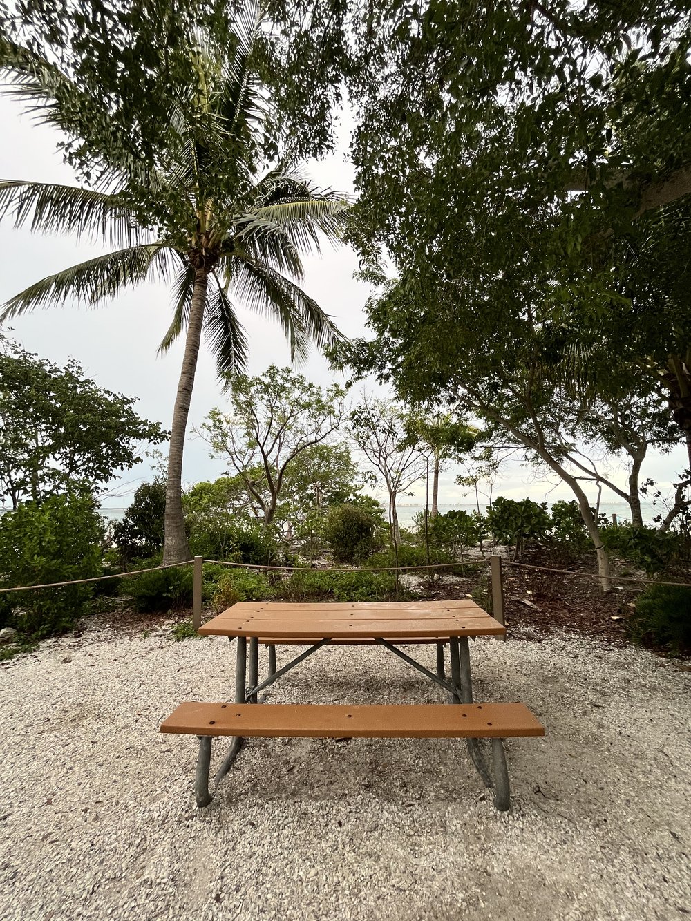 Sanibel Island picnic table.jpg
