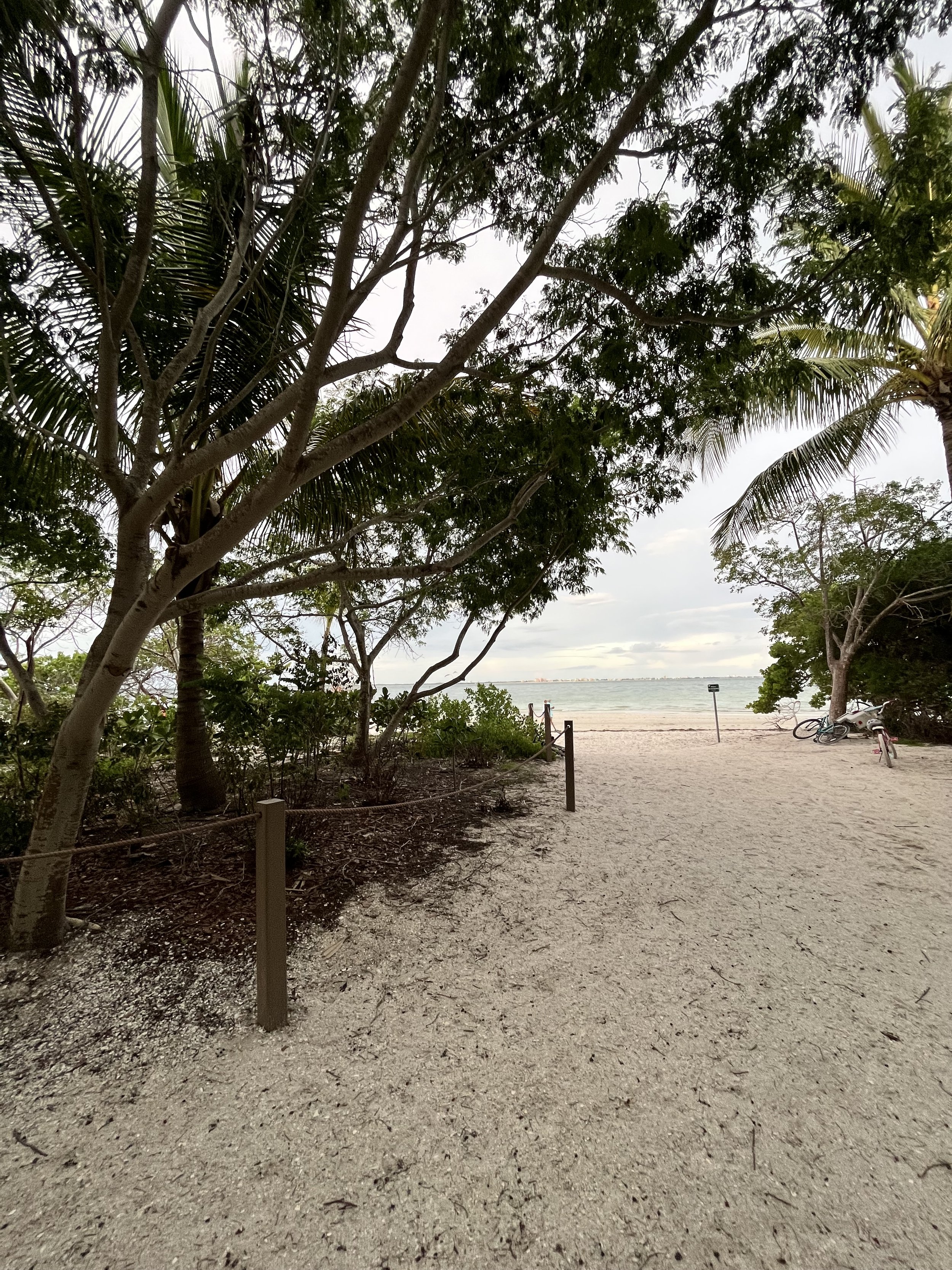 Sanibel Island sandy walking path.jpg