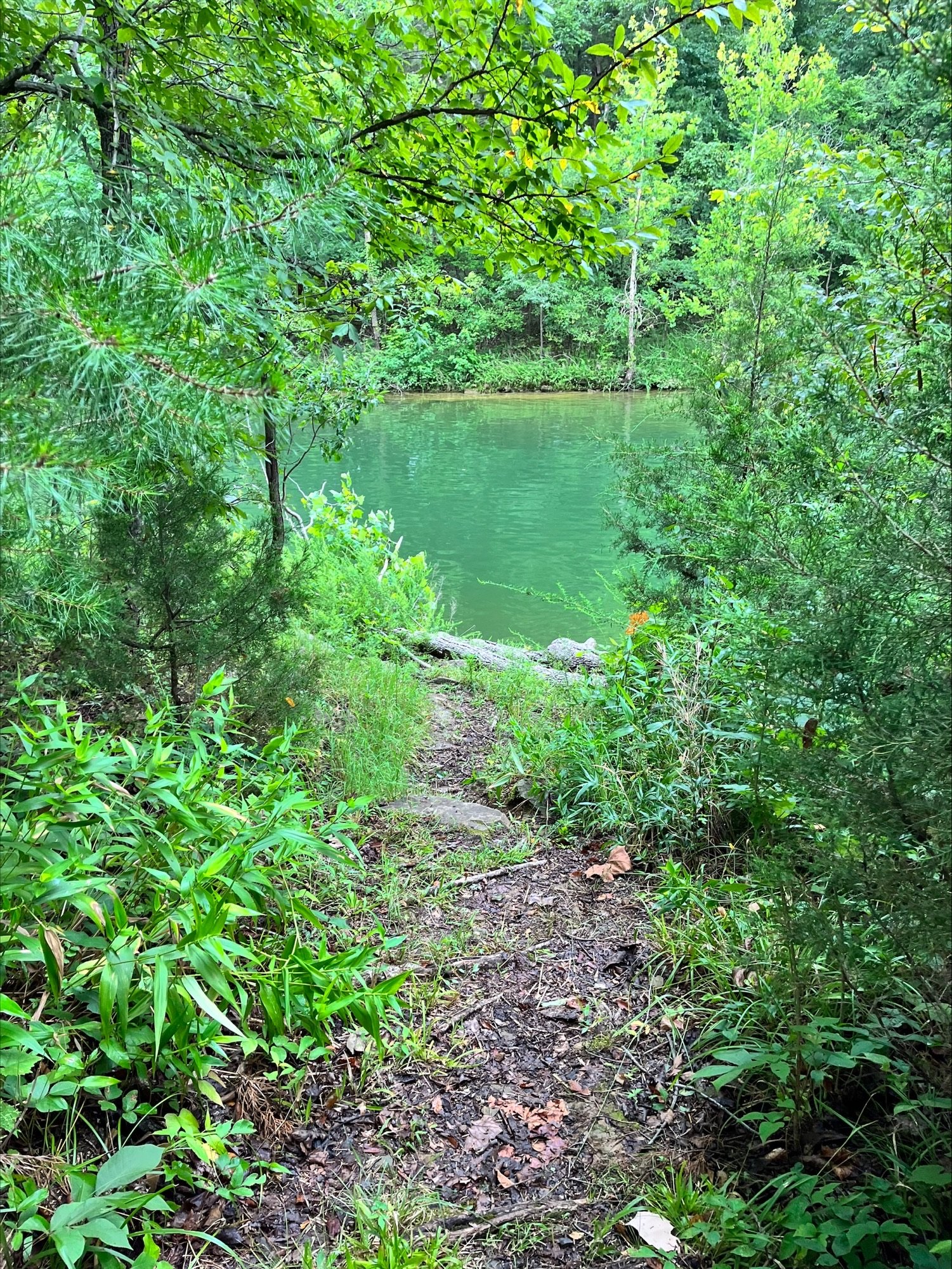 Nolin Lake State Park path to lake Kentucky.jpeg