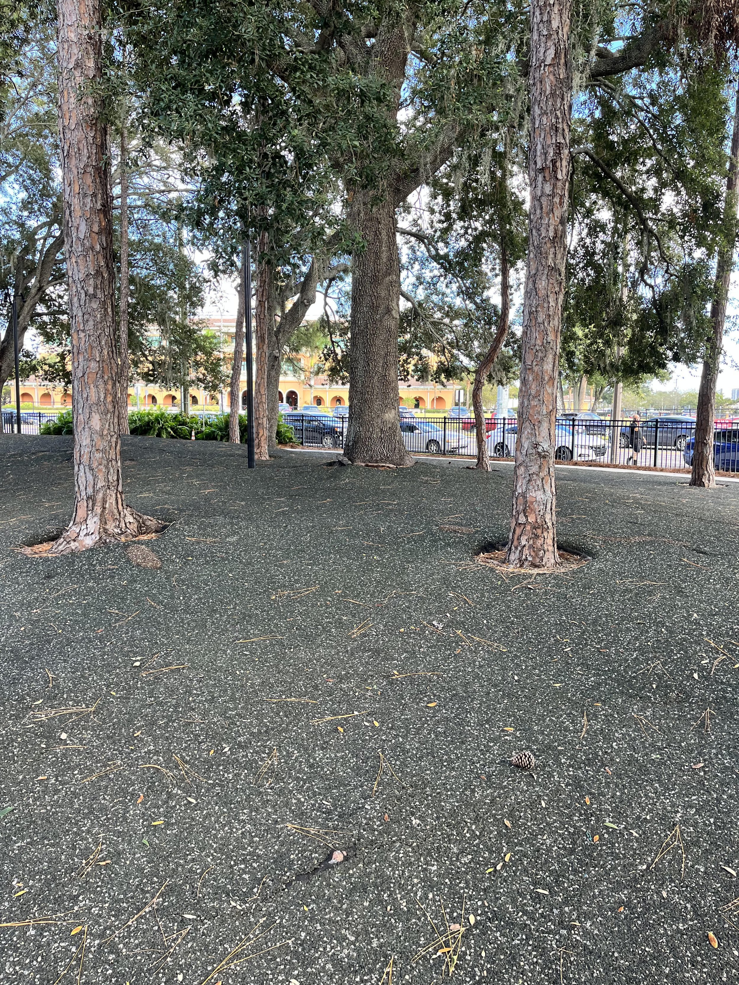 Tampa riverwalk dog park.jpg