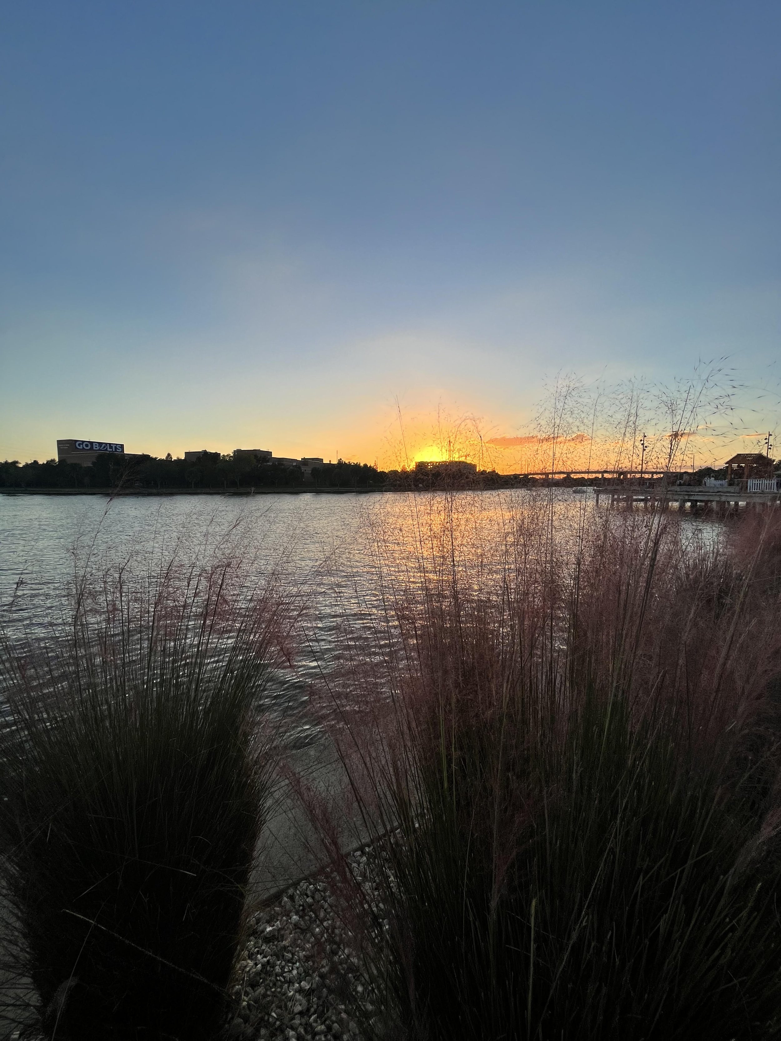 Hillsborough River Tampa Riverwalk.jpg