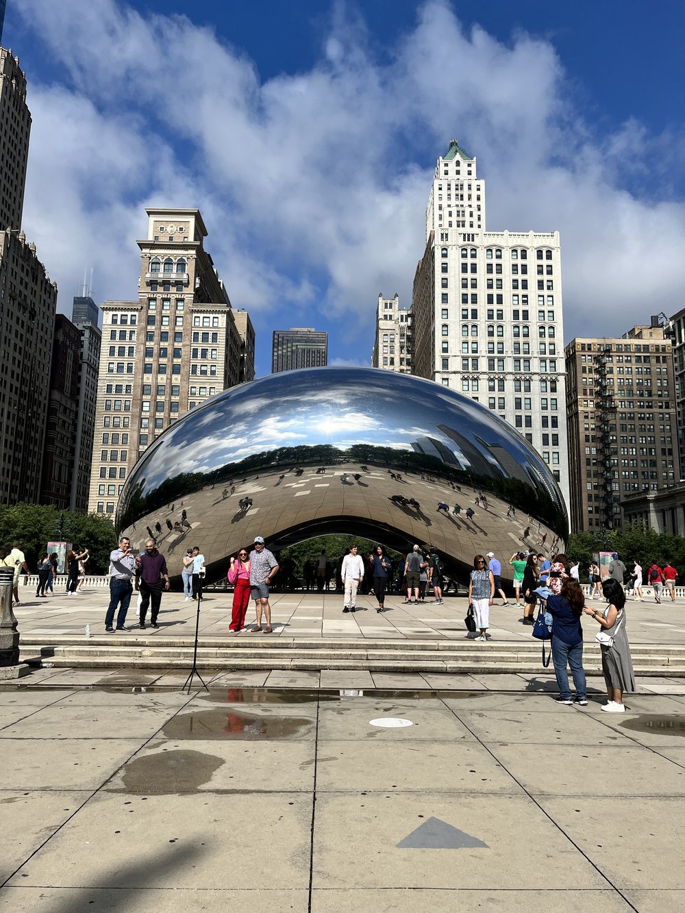 The Bean Cloud Gate Buildings Chicago Illinois.jpg