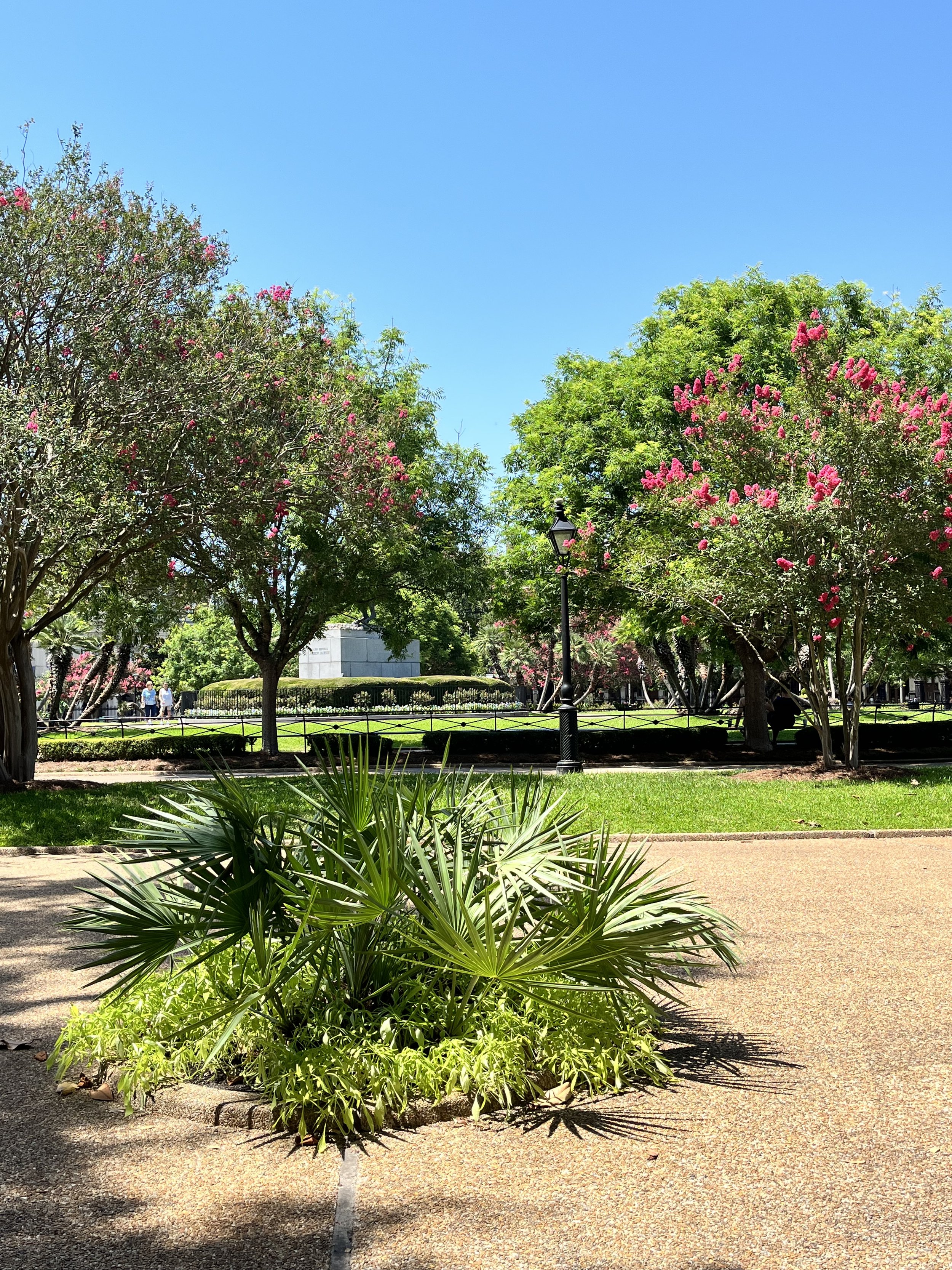 Jackson Square flowers New Orleans LA.jpg