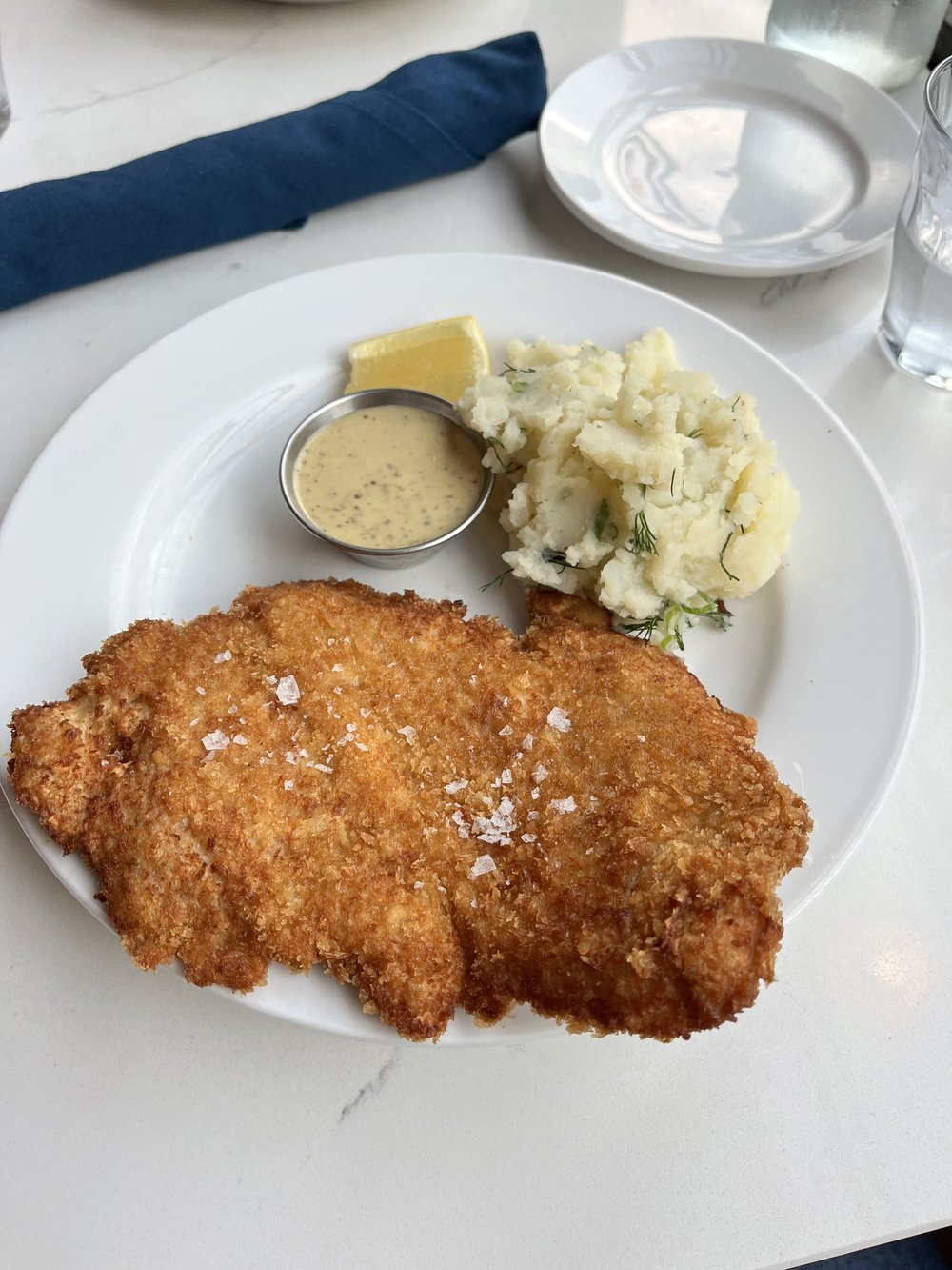 Willa's chicken schnitzel Tampa Florida.jpg