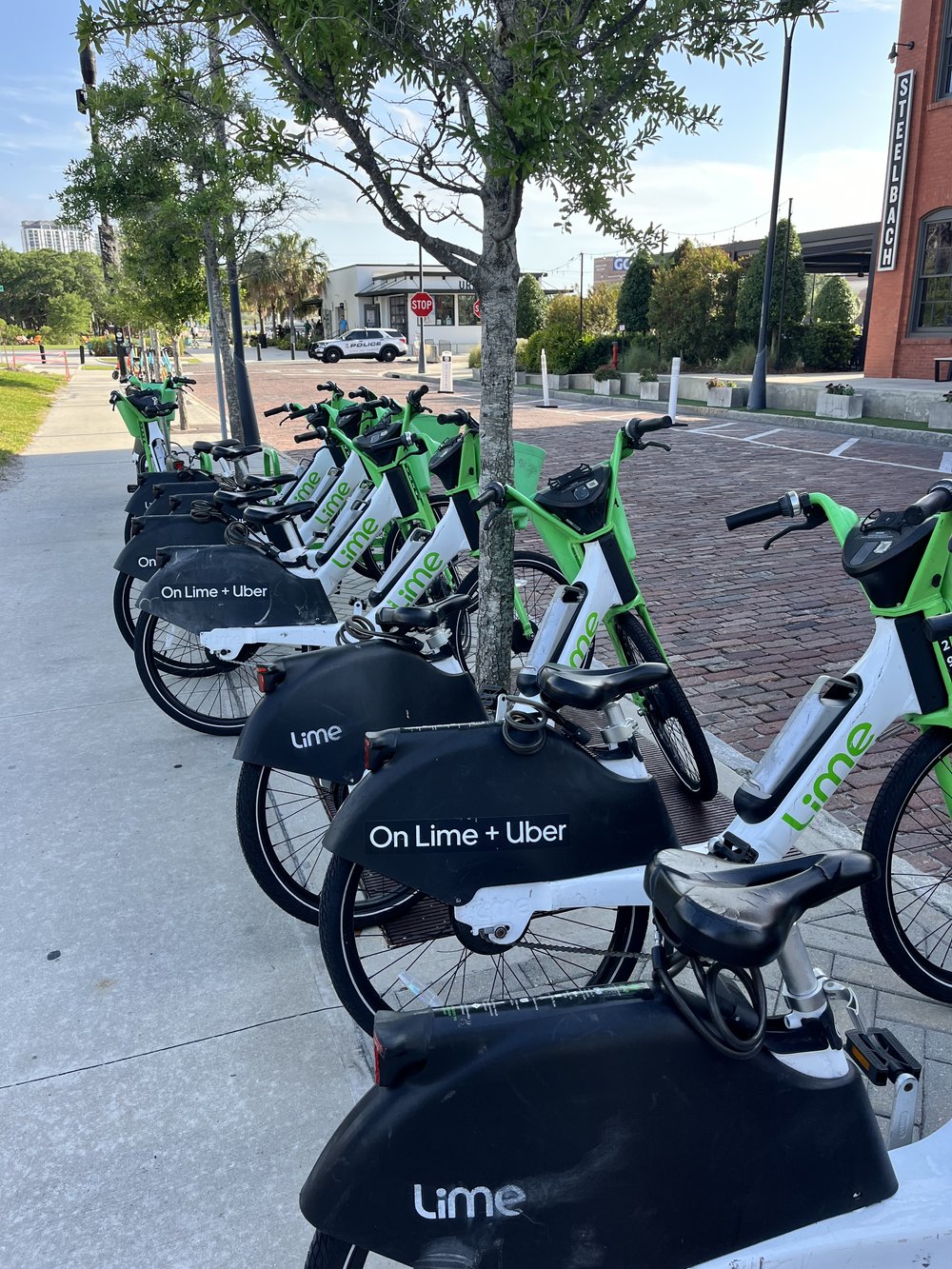 Bike rental On Lime Tampa Florida.jpg