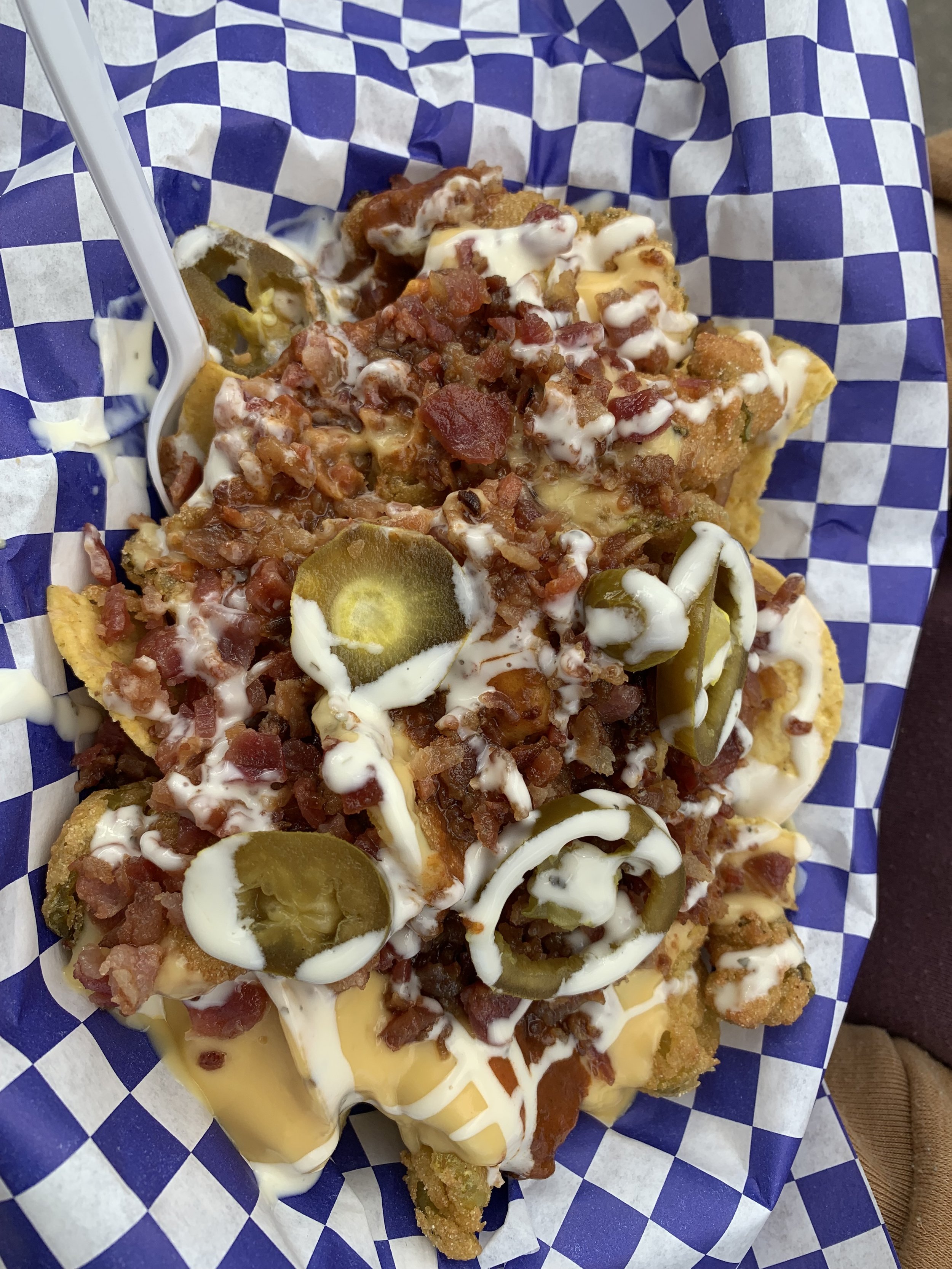 Florida State Fair nachos chicken.jpg