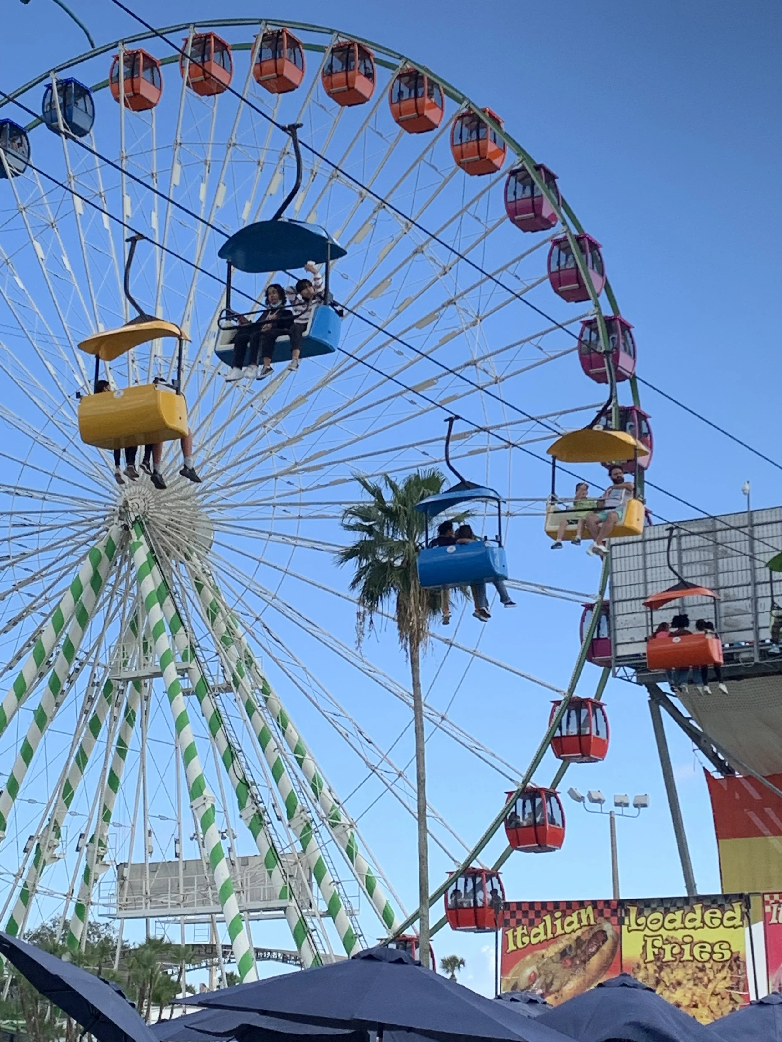 Florida State Fair ferris wheel sky ride.jpg