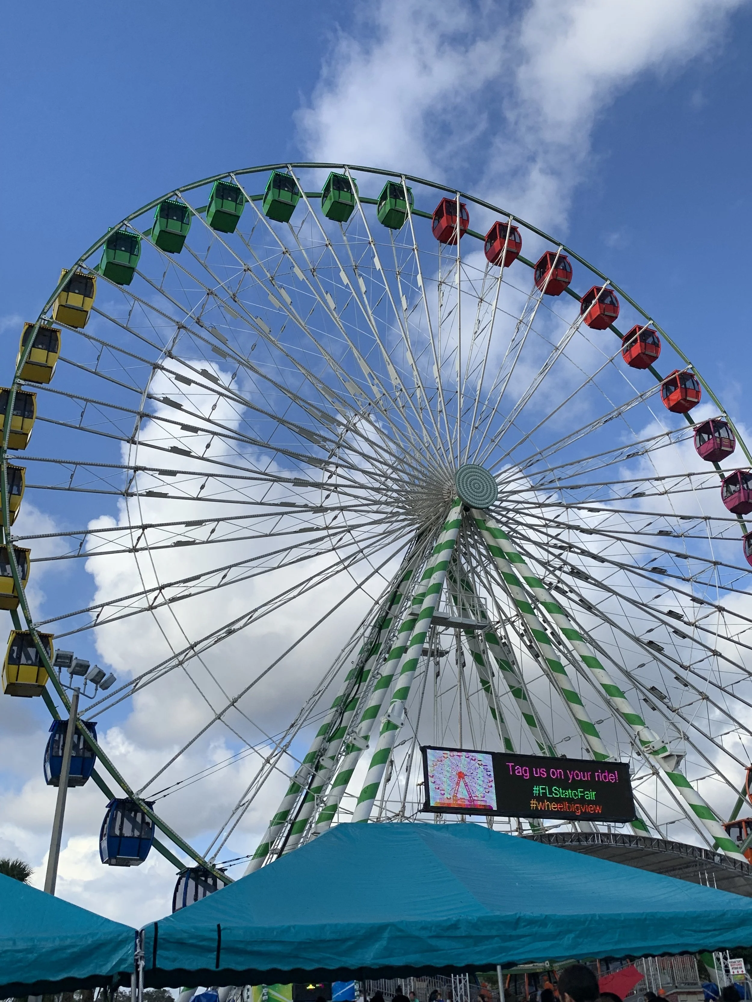 Florida State Fair ferris wheel.jpg