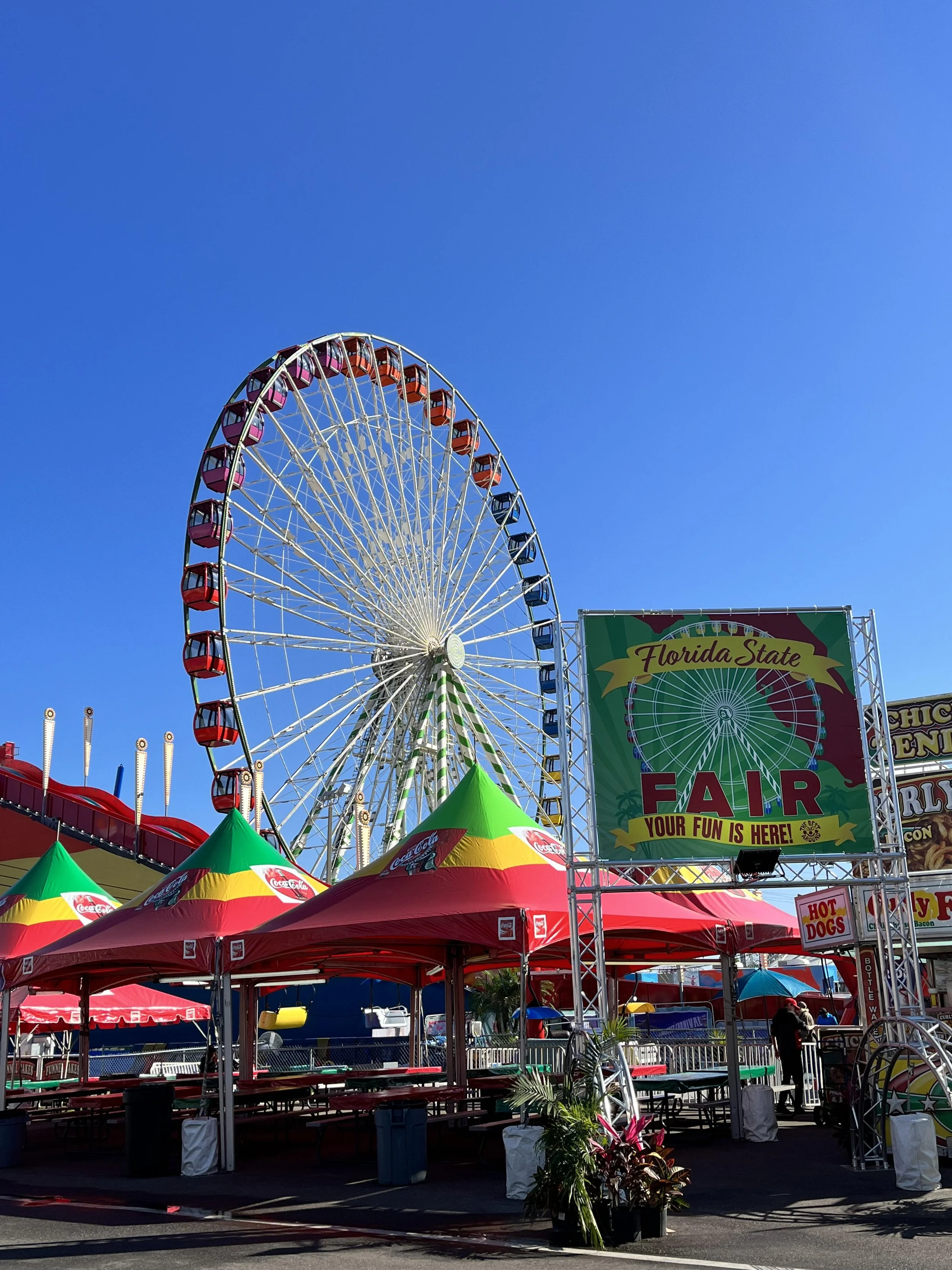 Florida state fair ferris wheel.jpg