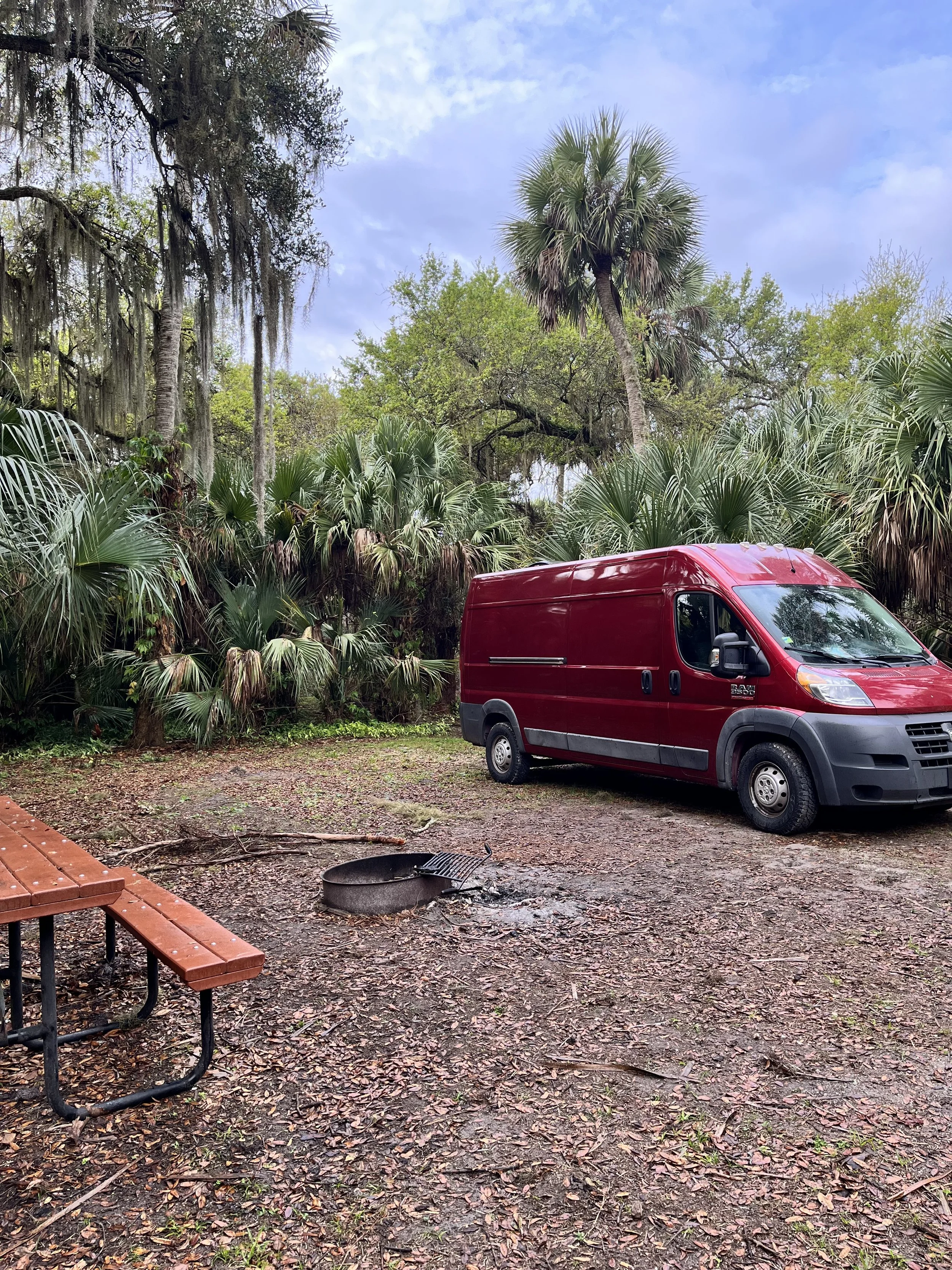 Camping Florida on a Budget: Free and Cheap Campsites Surrounded by Nature and Wildlife