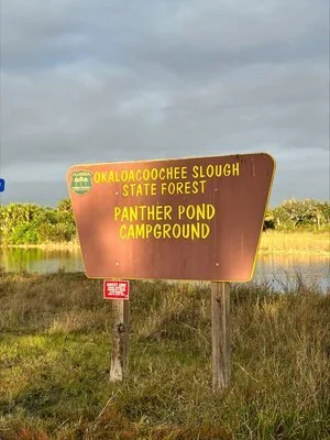 Panther Pond campground Florida.jpeg