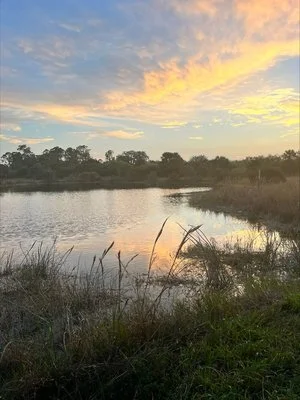 panther Pond campground lake.jpeg