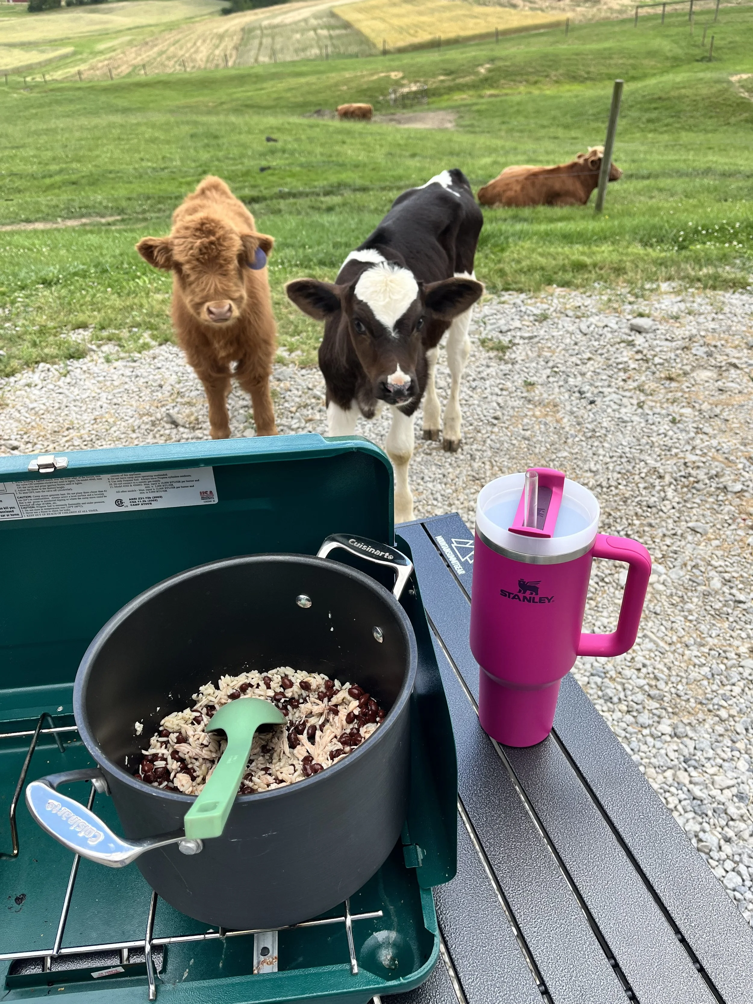 Hickory Hearth Highlands campfire camping cows Harvest Host.jpg