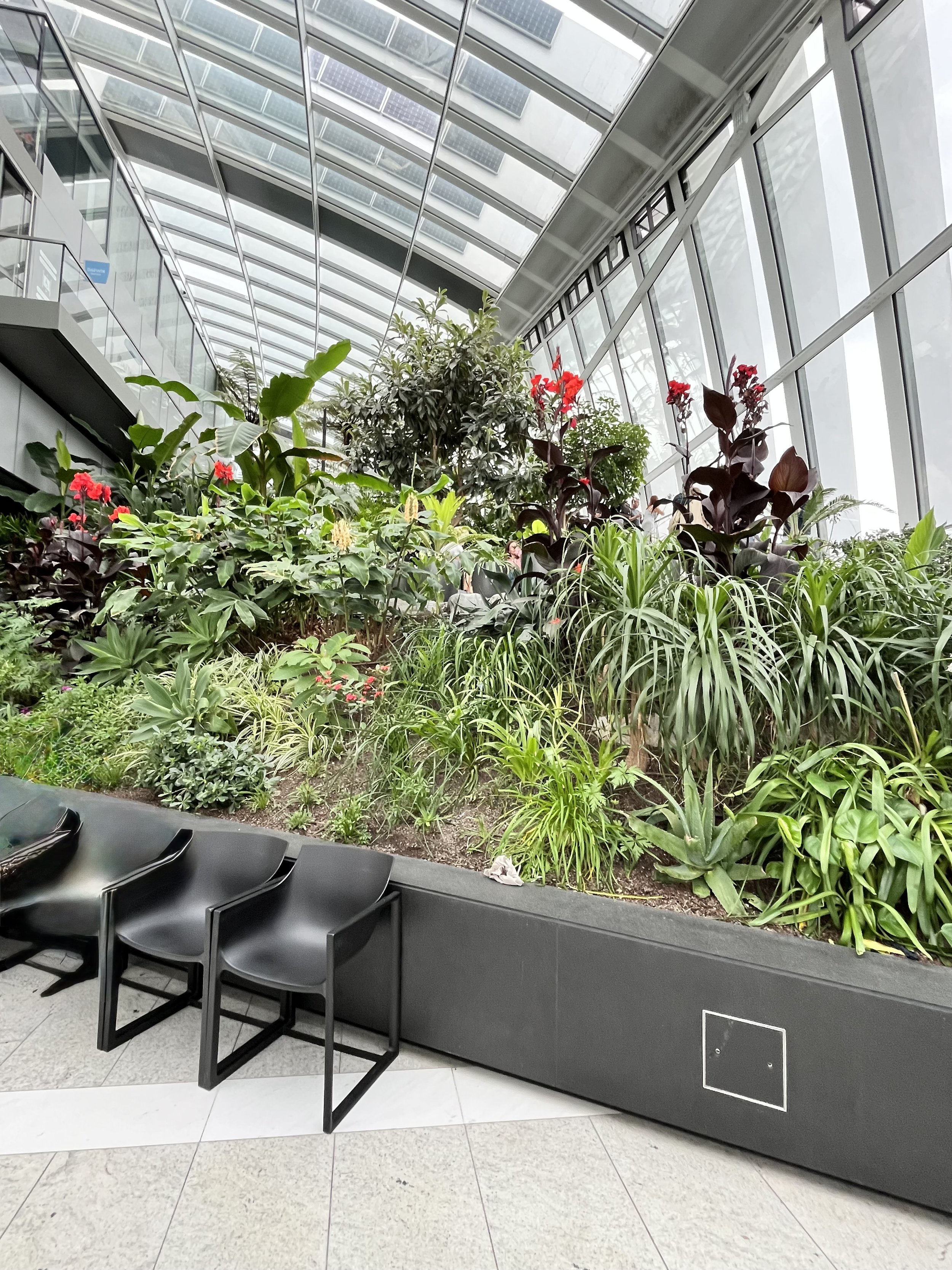 Sky Garden flowers plants London.jpeg