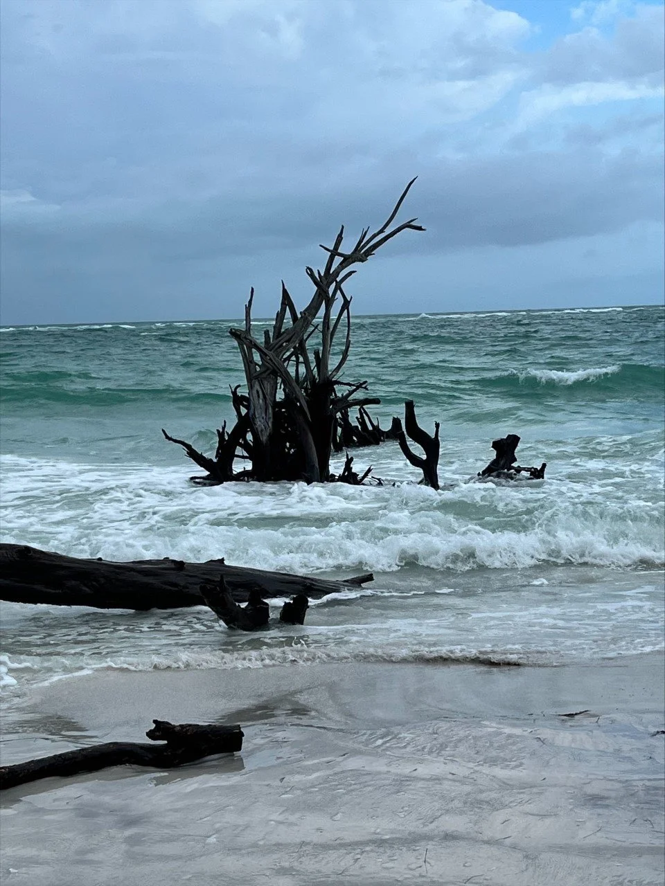 Beer Can Island (Greer Island) Longboat Key, Florida — Adopting Life's Journey Family Travel Blog