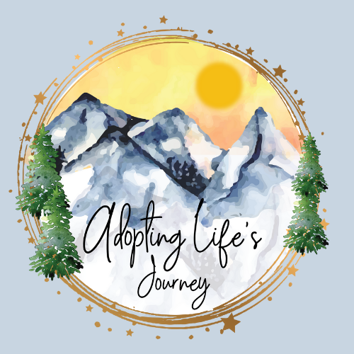 Adopting Life&#39;s Journey - Family Travel Blog in a Campervan