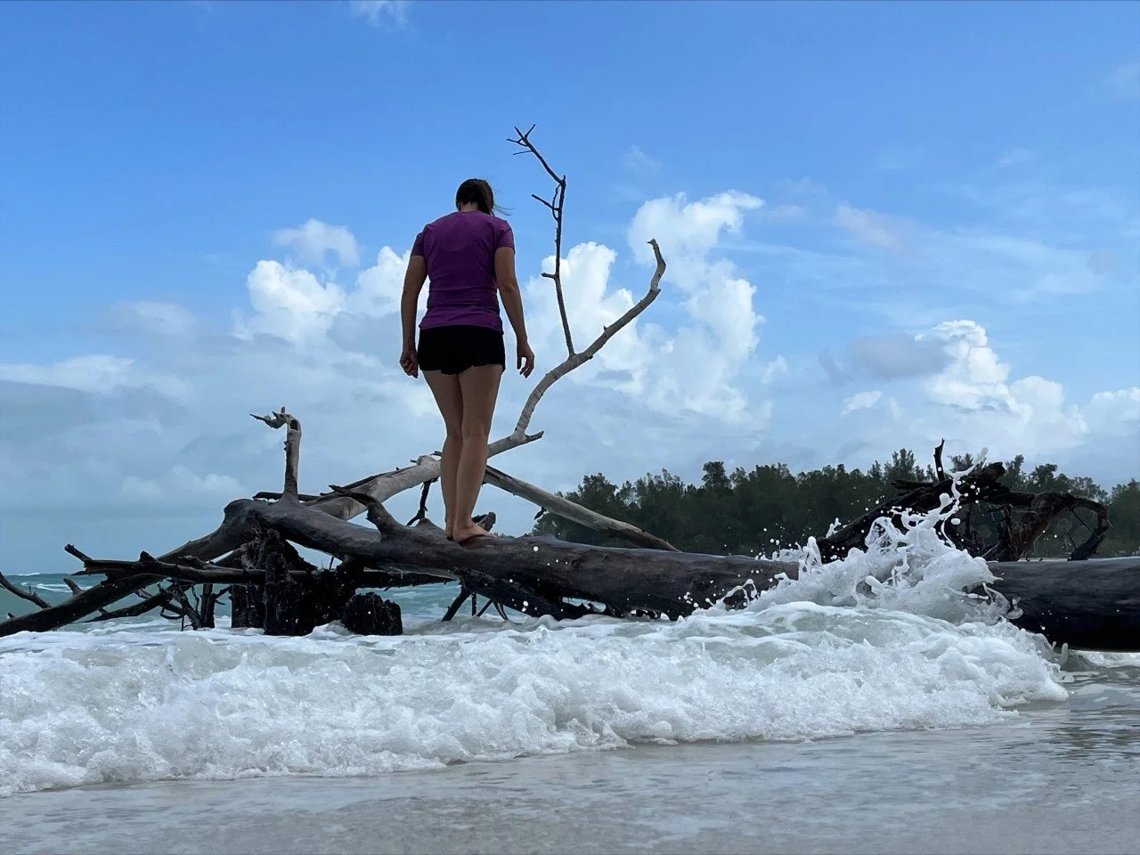 Beer Can Island (Greer Island) Longboat Key, Florida — Adopting Life's Journey Family Travel Blog