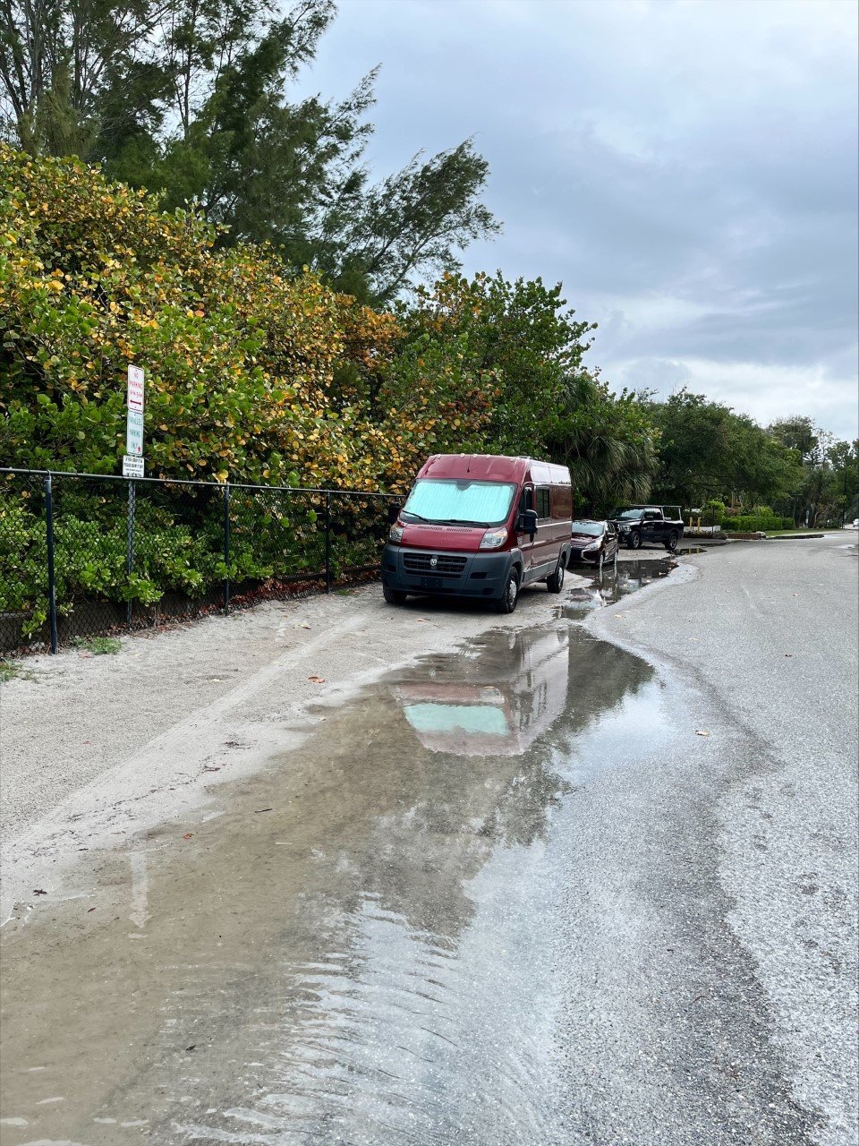 Driftwood Dreams on Beer Can Island (Greer Island) Longboat Key
