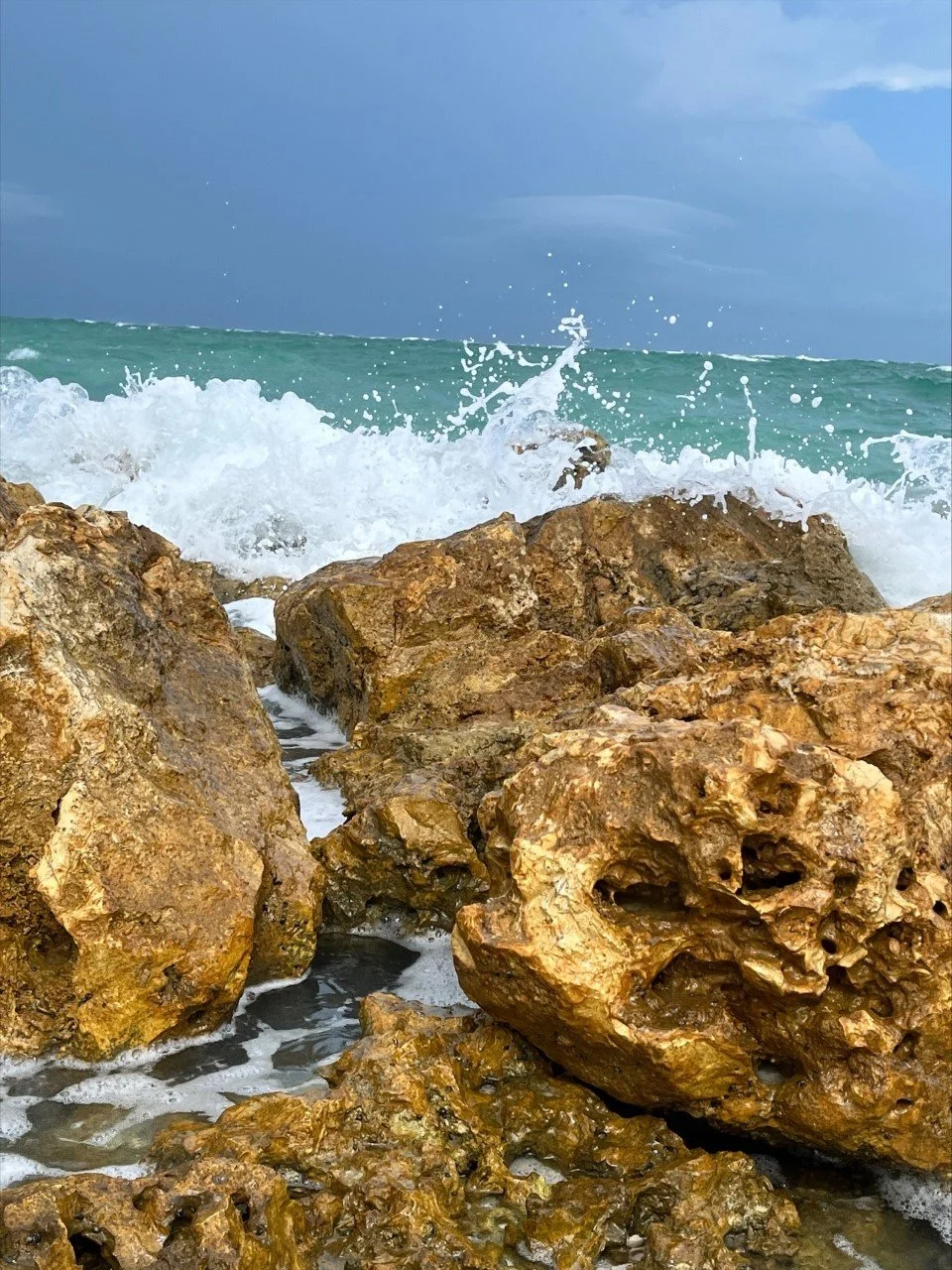 Beer Can Island (Greer Island) Longboat Key, Florida — Adopting Life's Journey Family Travel Blog