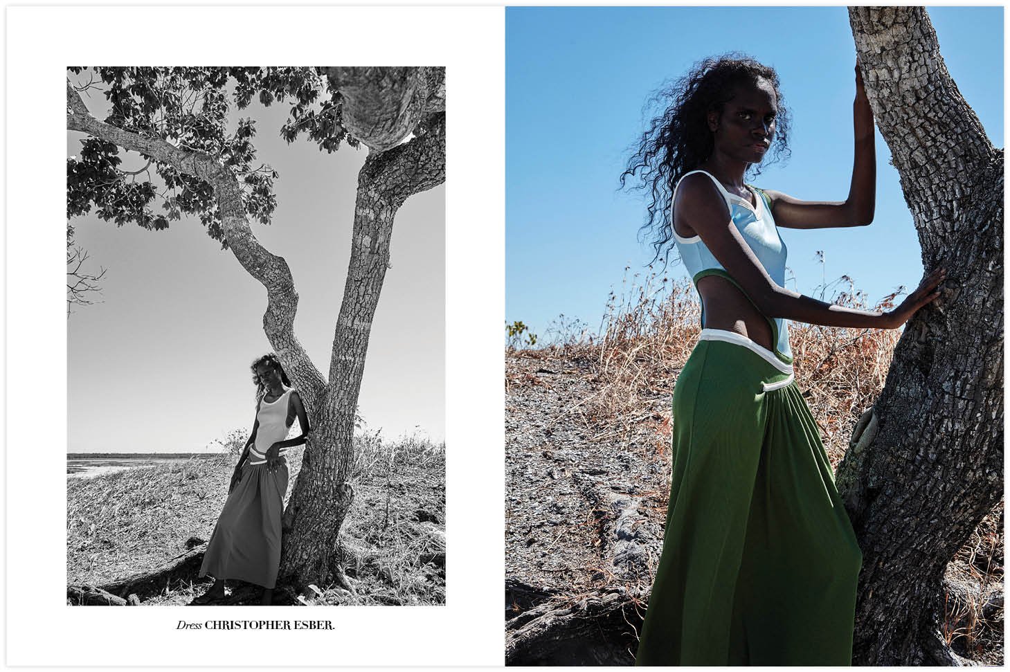 Dress christopher esber.