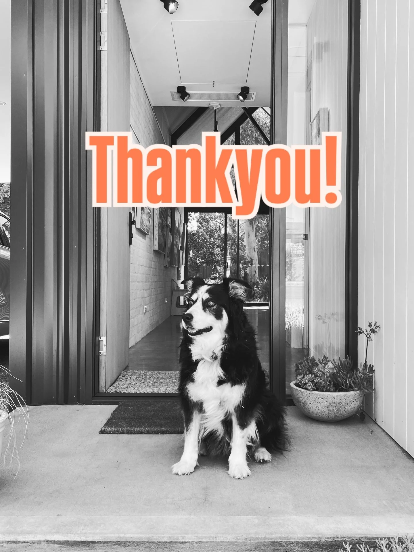 Exhibition is done&hellip;
Mini and I would like to say thankyou, thankyou, thankyou!
I am very grateful, who&rsquo;d have thought you could do this as a job?
It is because of you lovely people that support us creatives that I can 🙌💛 It means a lot