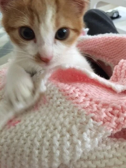 Peek-a-boo!