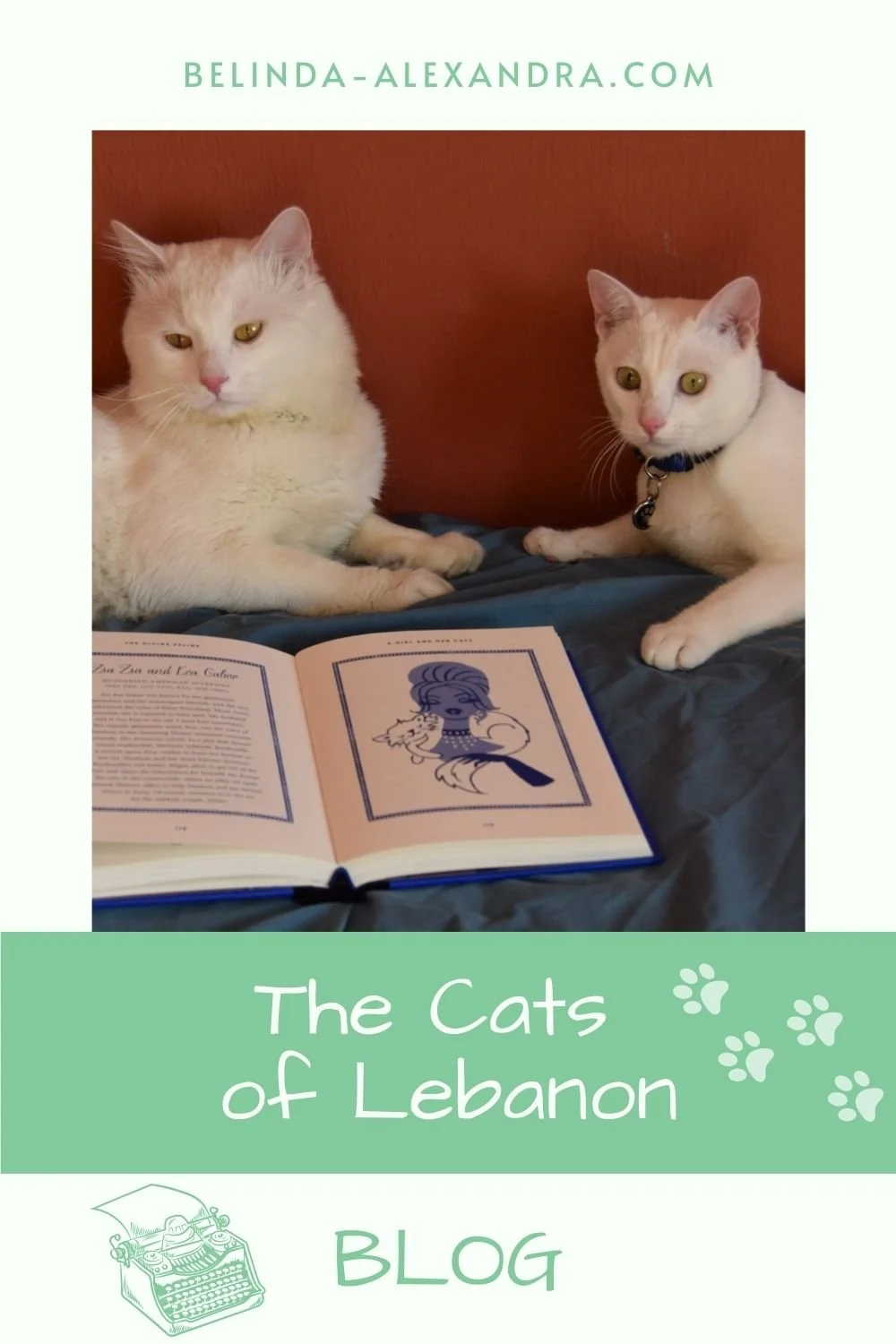 A light green border with text at the top that says: BELINDA-ALEXANDRA.COM Two white cats laying down on a dark blue sheet with Belinda Alexandra's book, The Divine Feline, in front of them. She is in front of a deep rust coloured wall. Underneath is