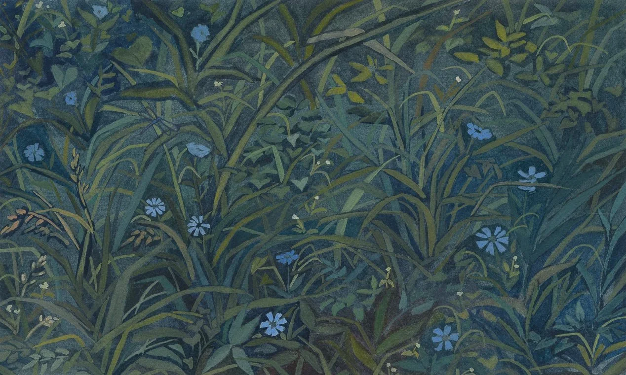 Woven Chicory, gouache on paper, 2026