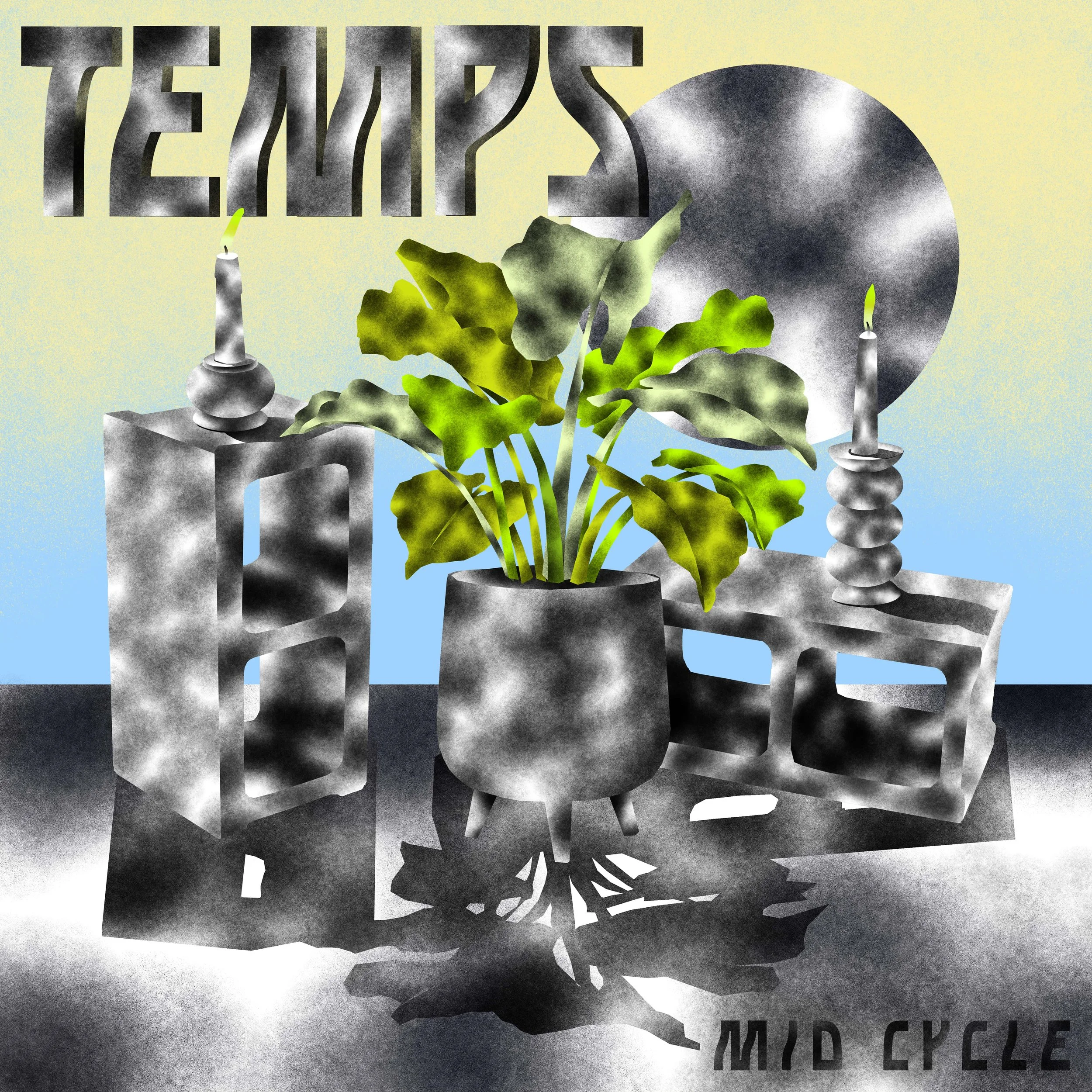 TEMPS-MidCycle-min.jpg