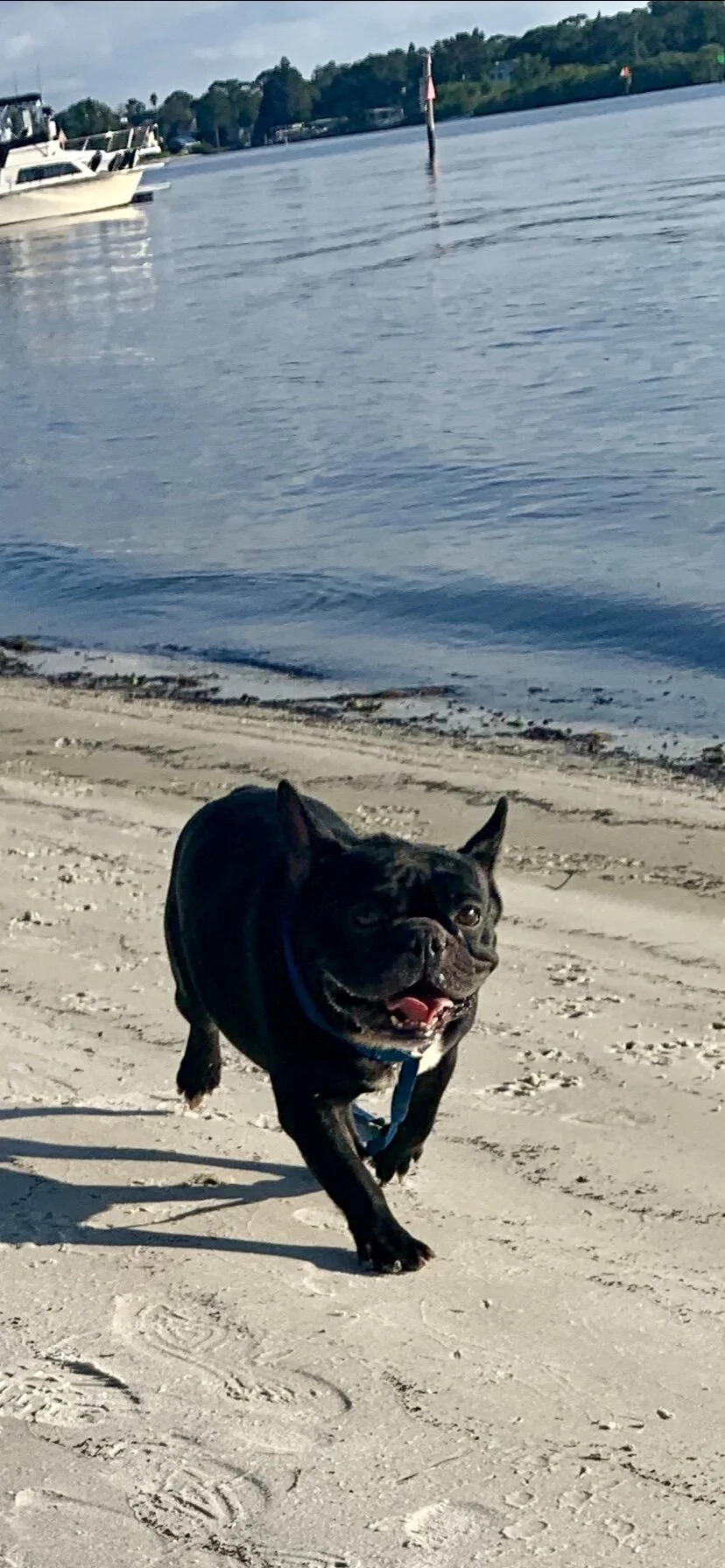 Neyo and oceann .jpg