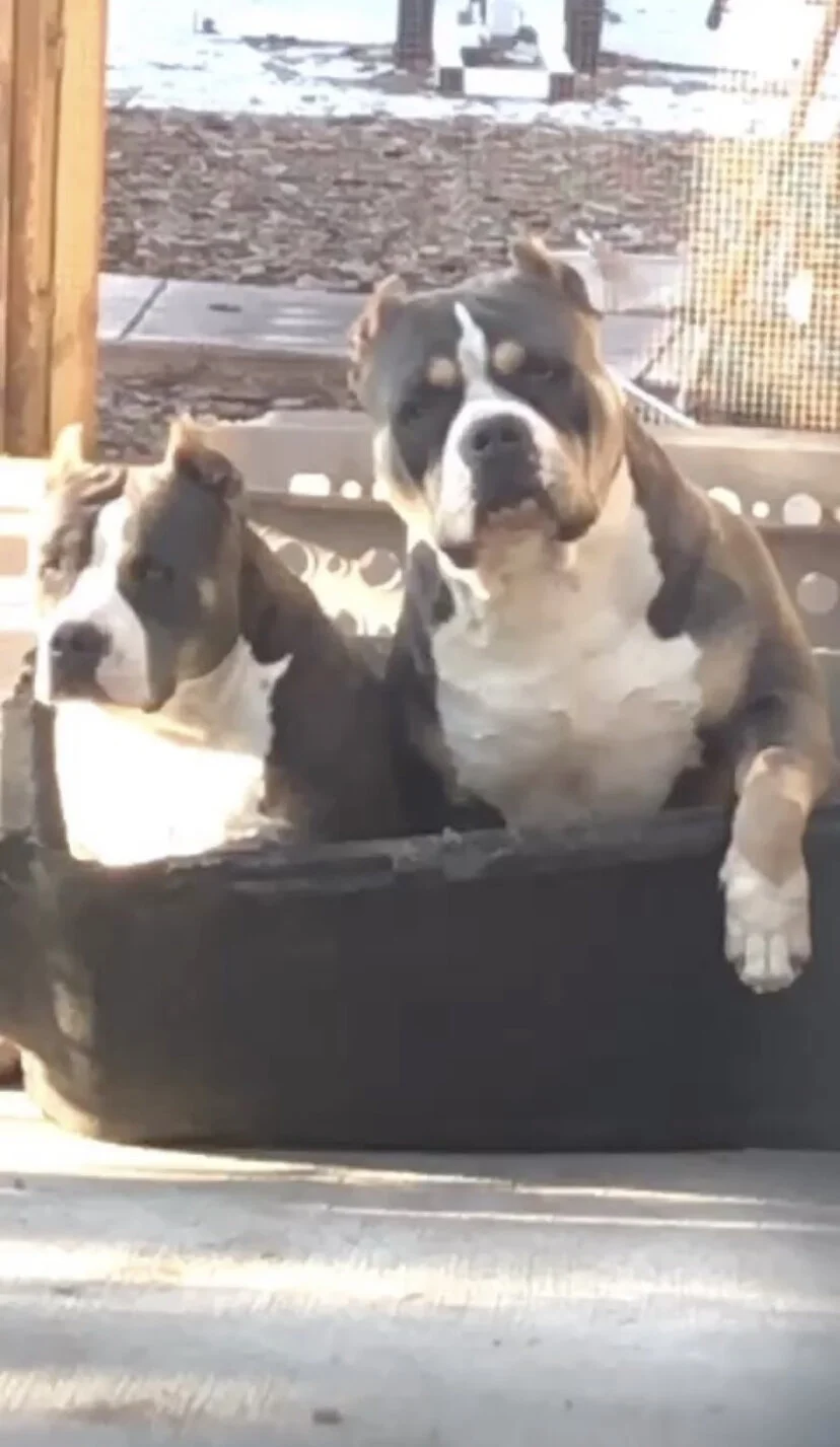 Soooop n cherish.jpg