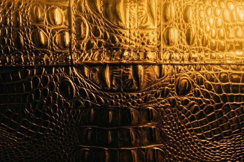 Gold Gator Skin.JPG
