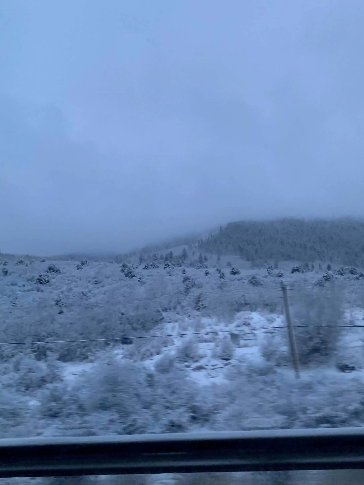 “Winter”
