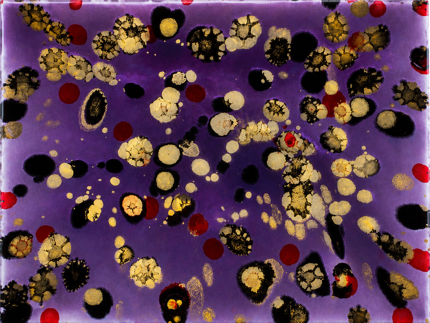 3054D1A3-6343-4035-BA6B-97512DE2CE05.png