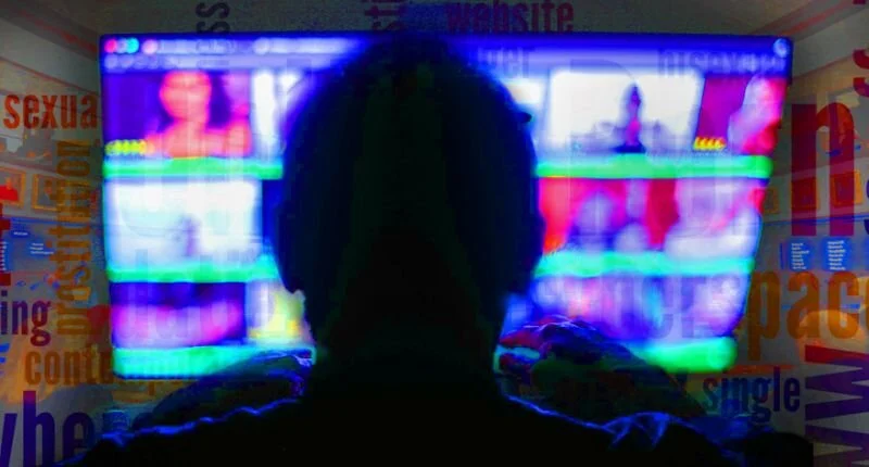 States, including Florida, tackle a different threat to teens: pornography (Yahoo)