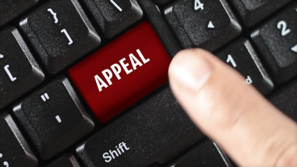 FOSTA Appeal Moves Forward With Woodhull's Statement (XBIZ)