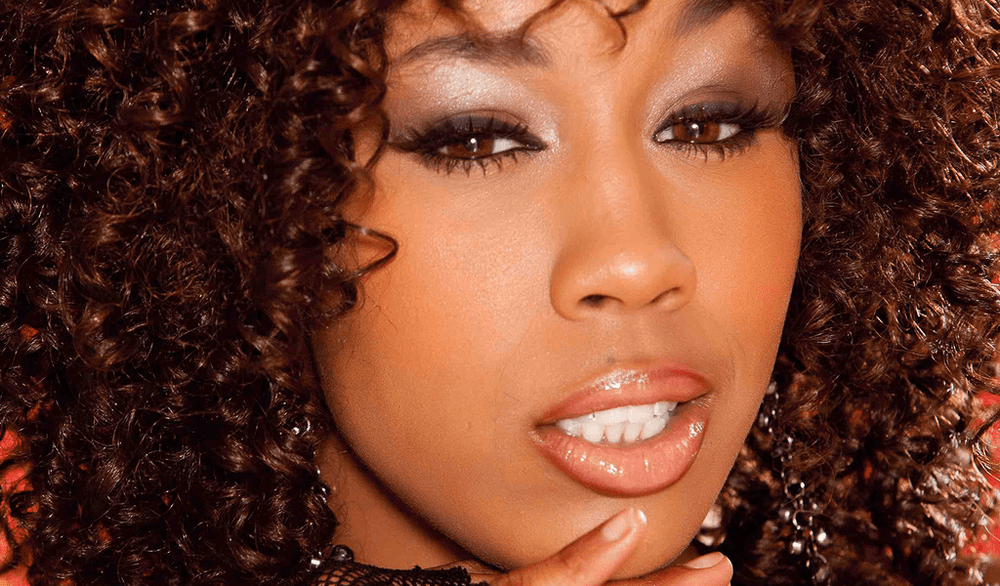GoFundMe Effort Launched to Aid Misty Stone After Leg Injury (AVN