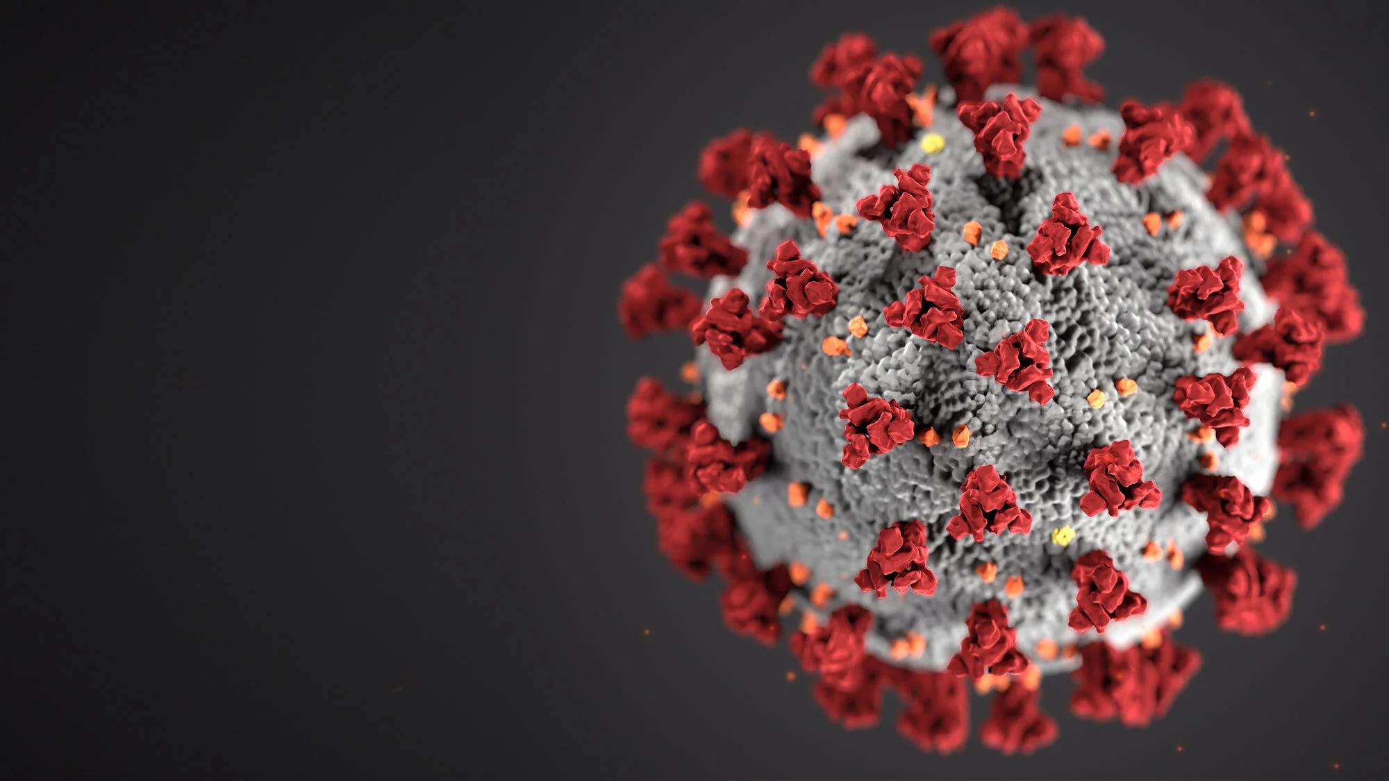 COVID-19 News & Resources</h1>